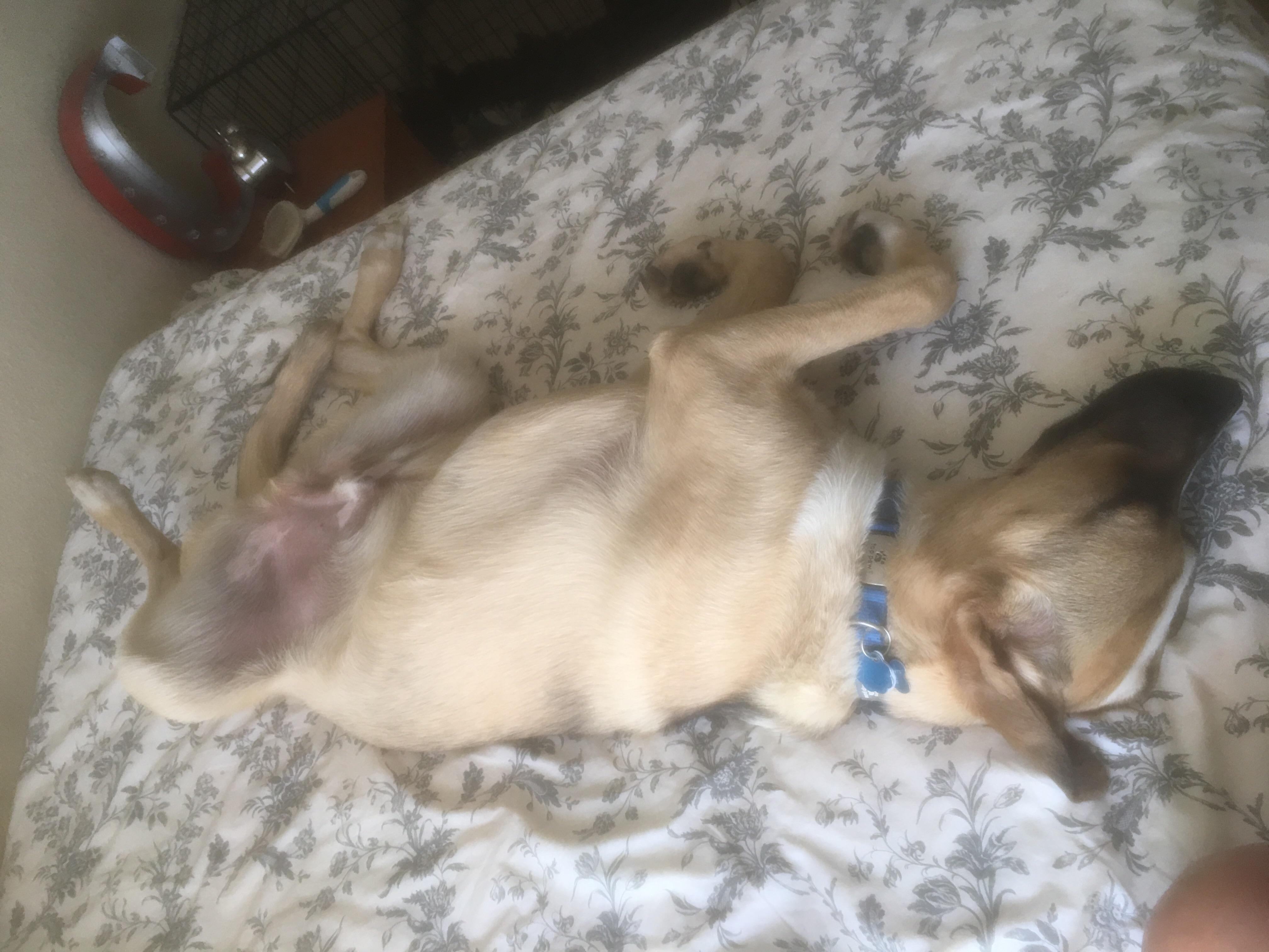 Question details sensitive content