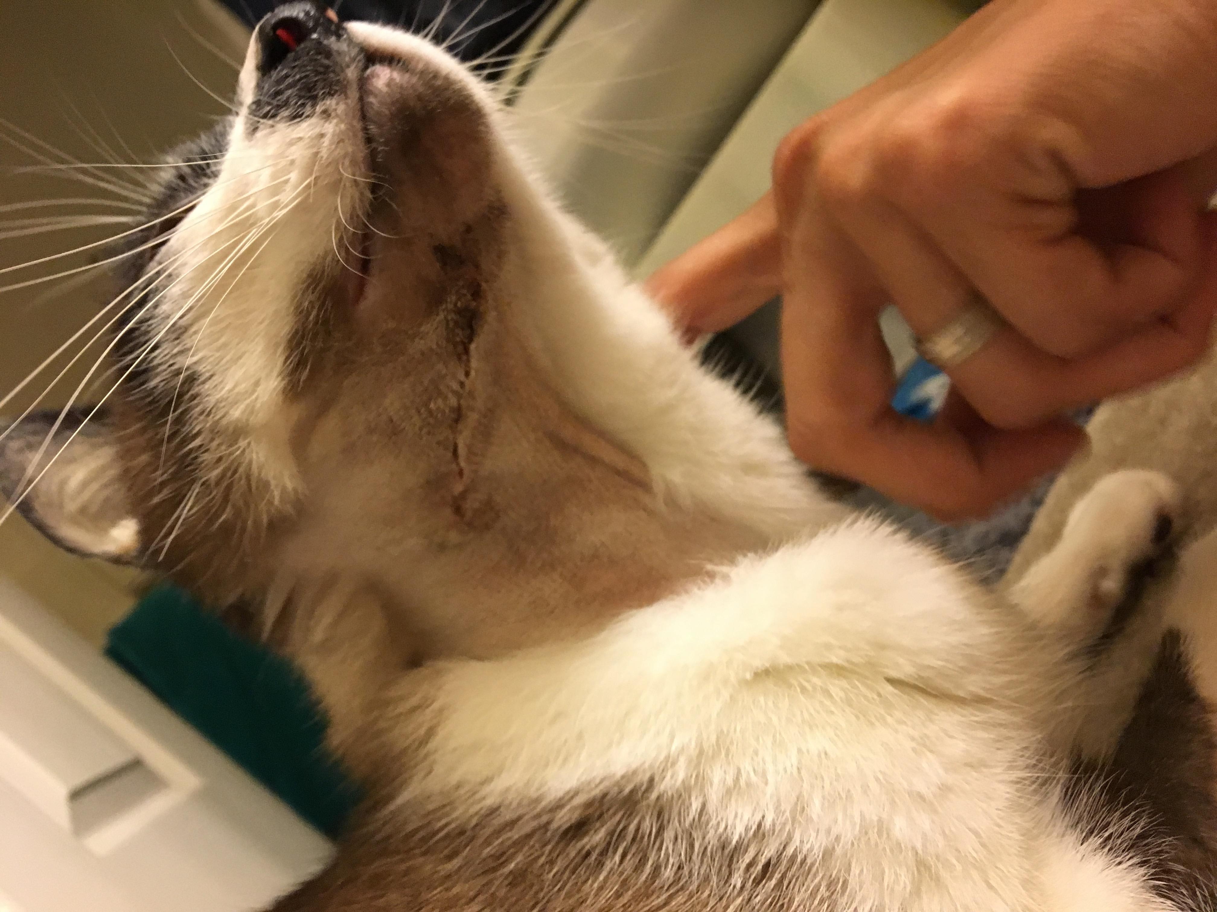 Question details sensitive content