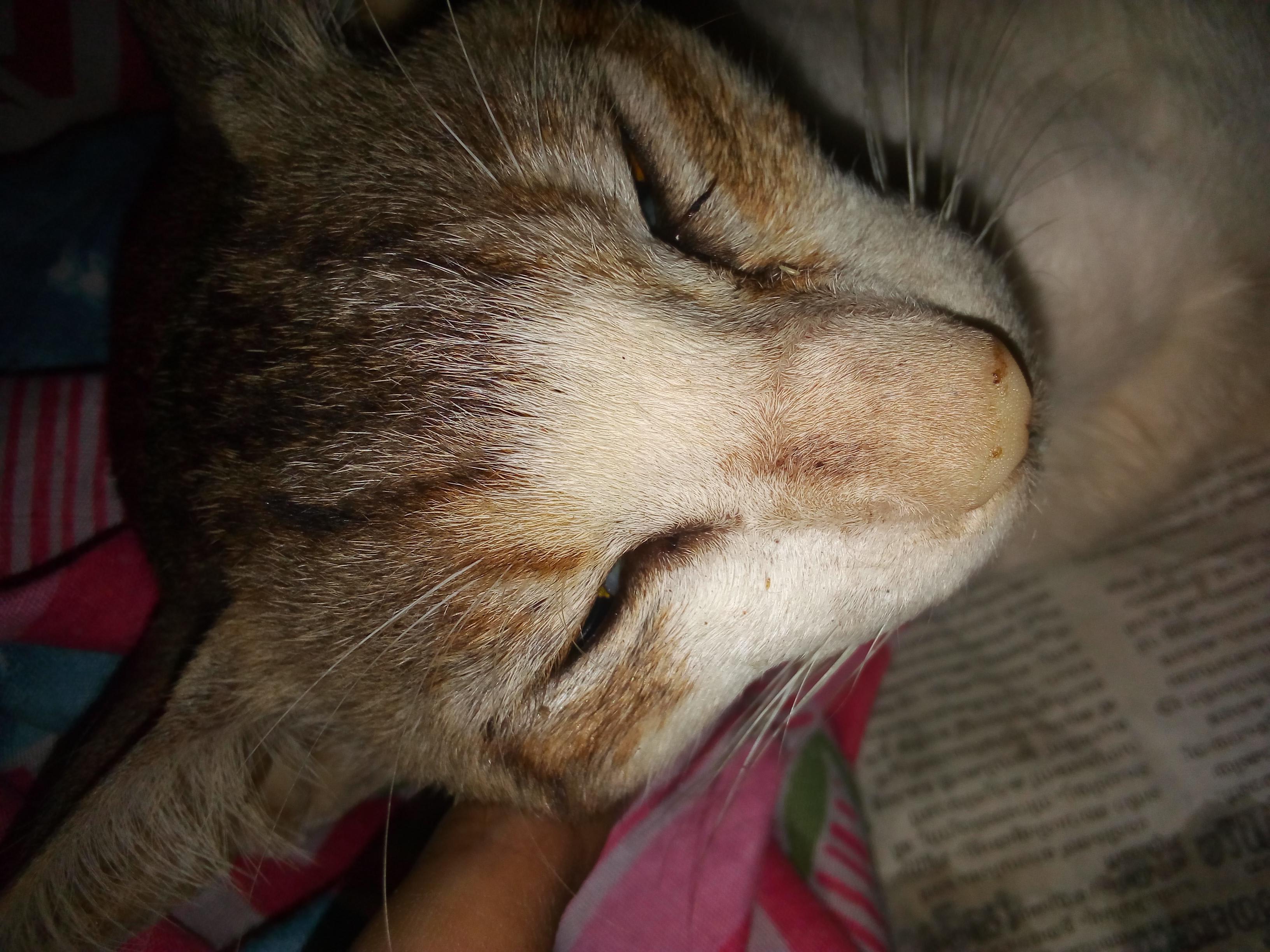 Question details sensitive content