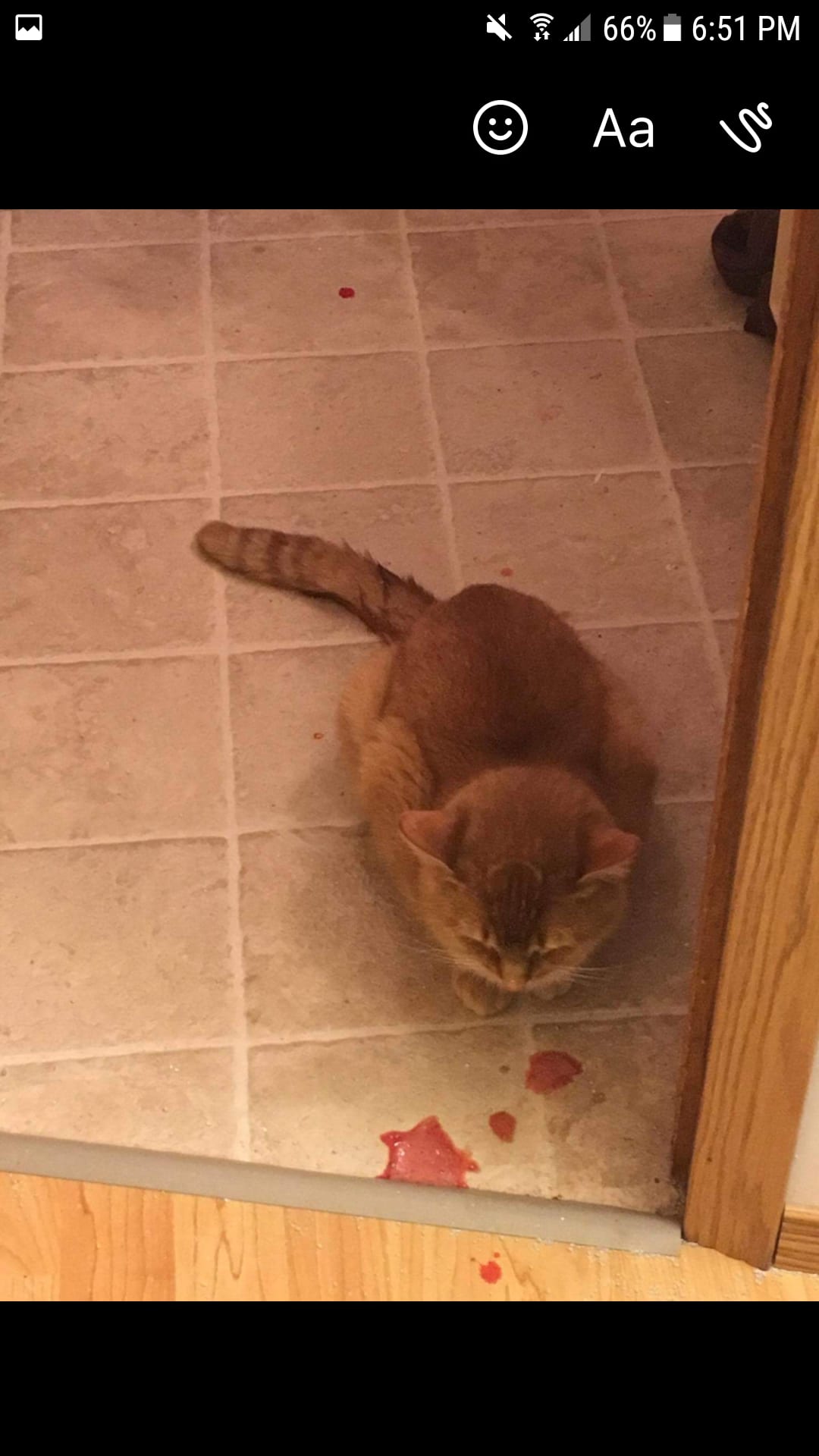 Question details sensitive content