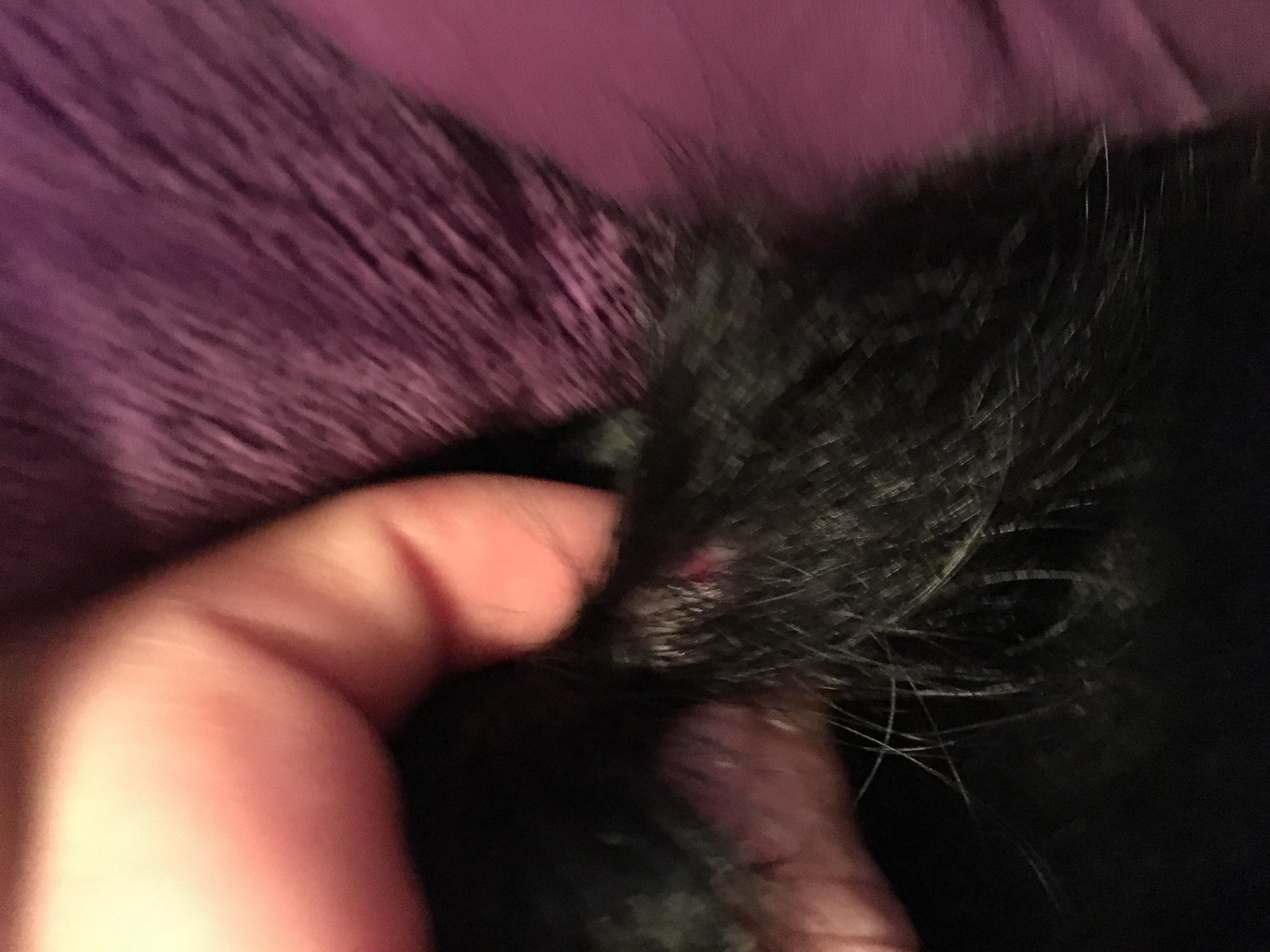 Question details sensitive content