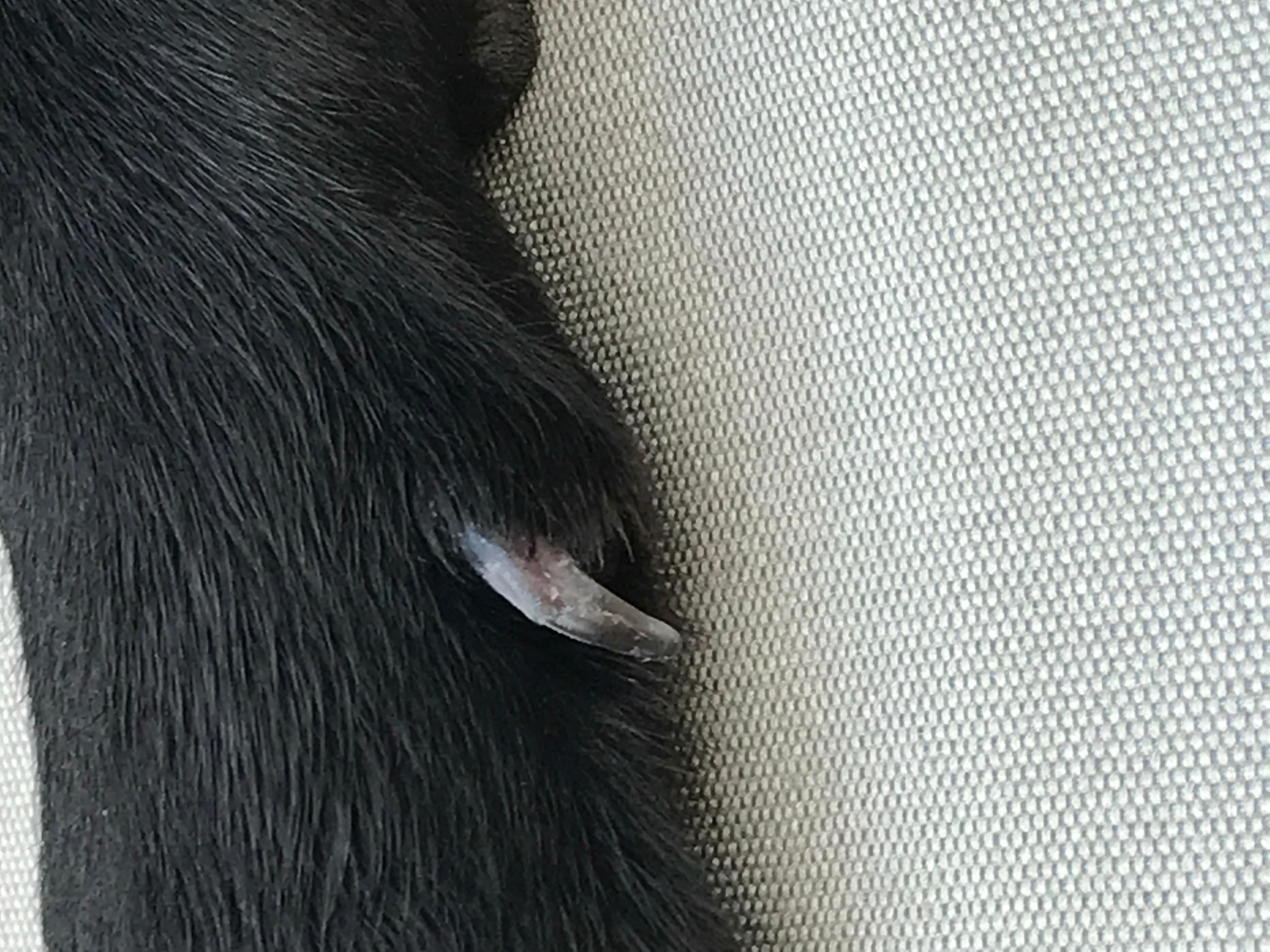 Question details sensitive content