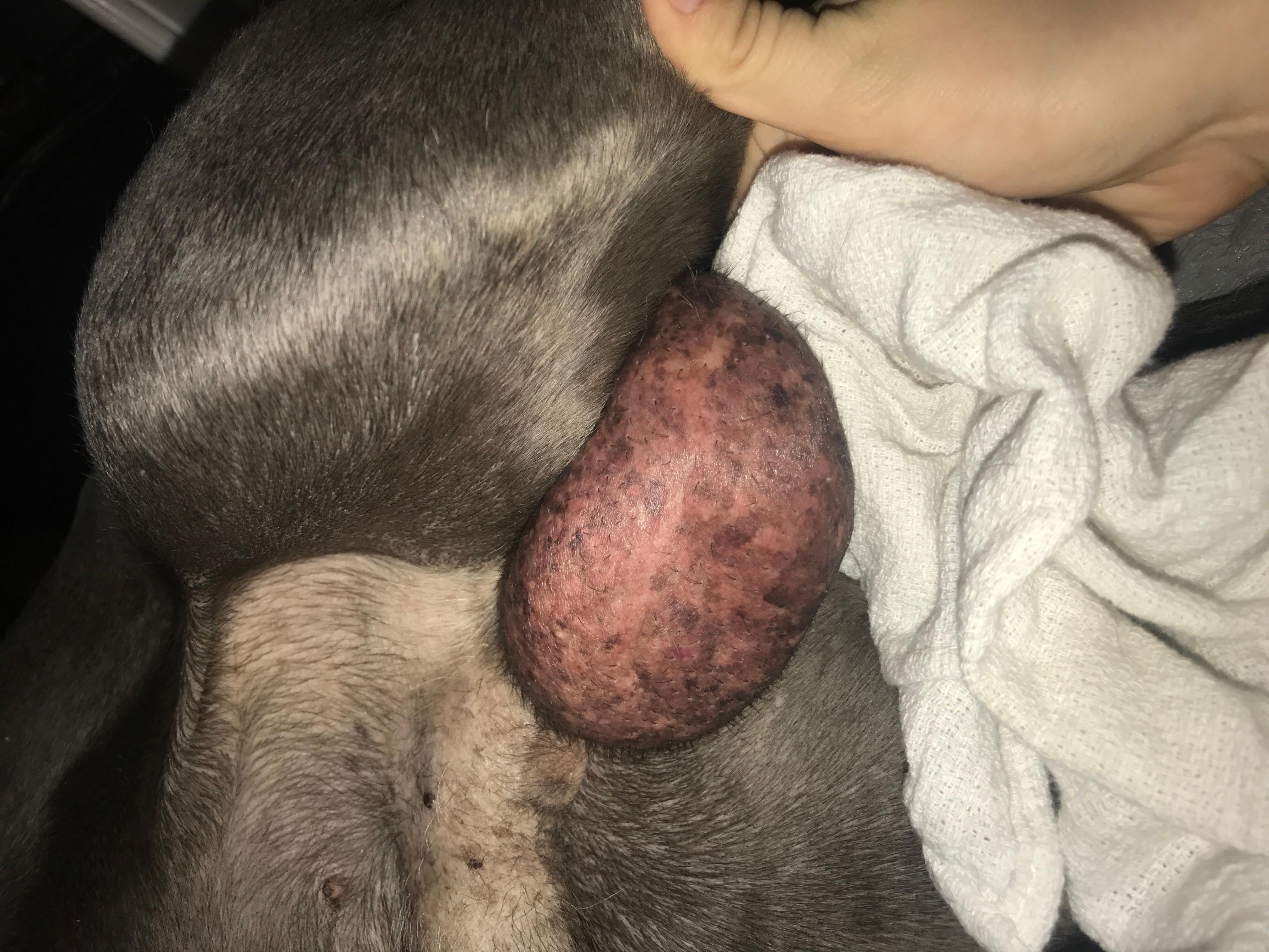 Question details sensitive content