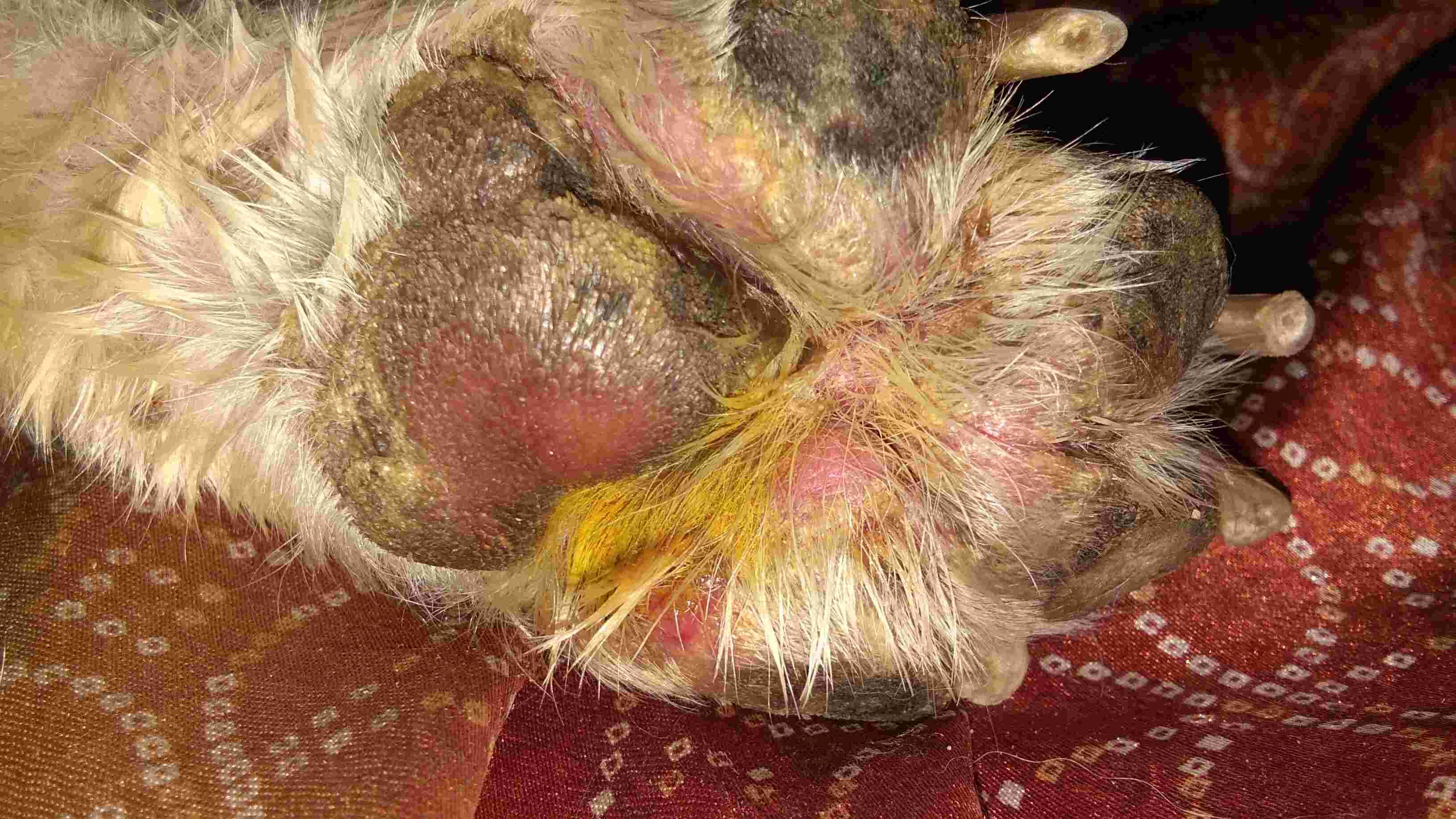 Question details sensitive content