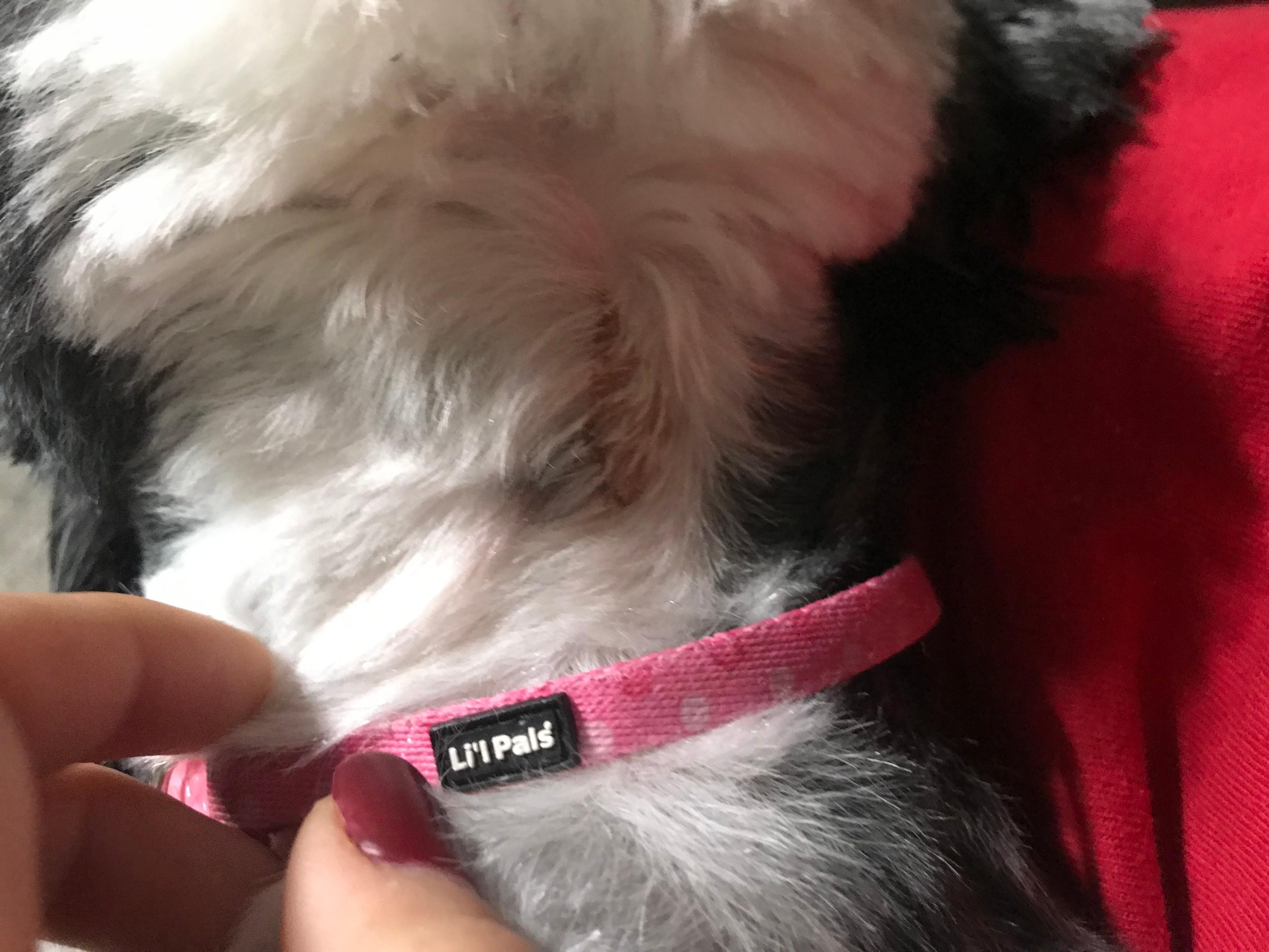 Question details sensitive content