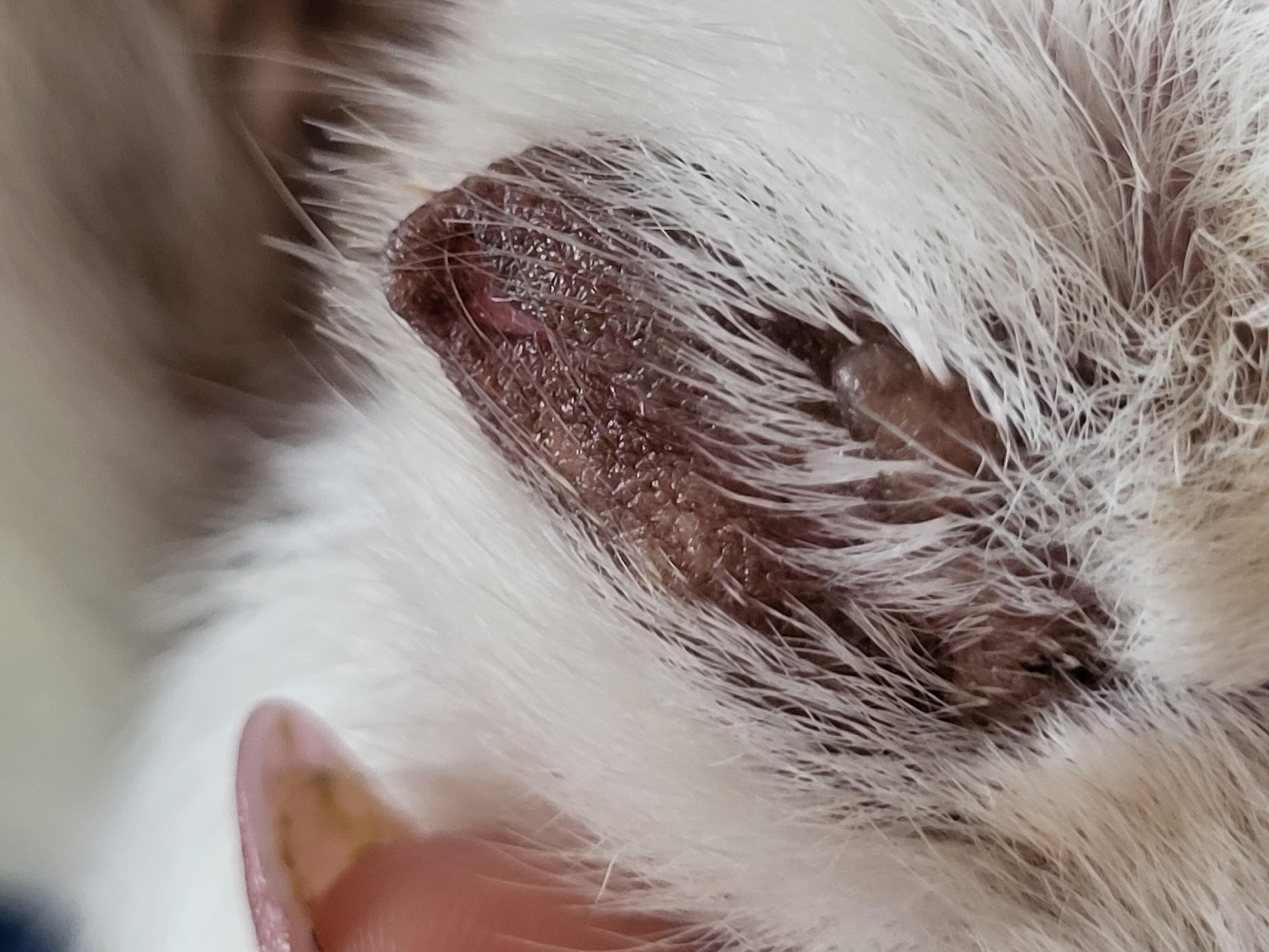 Question details sensitive content