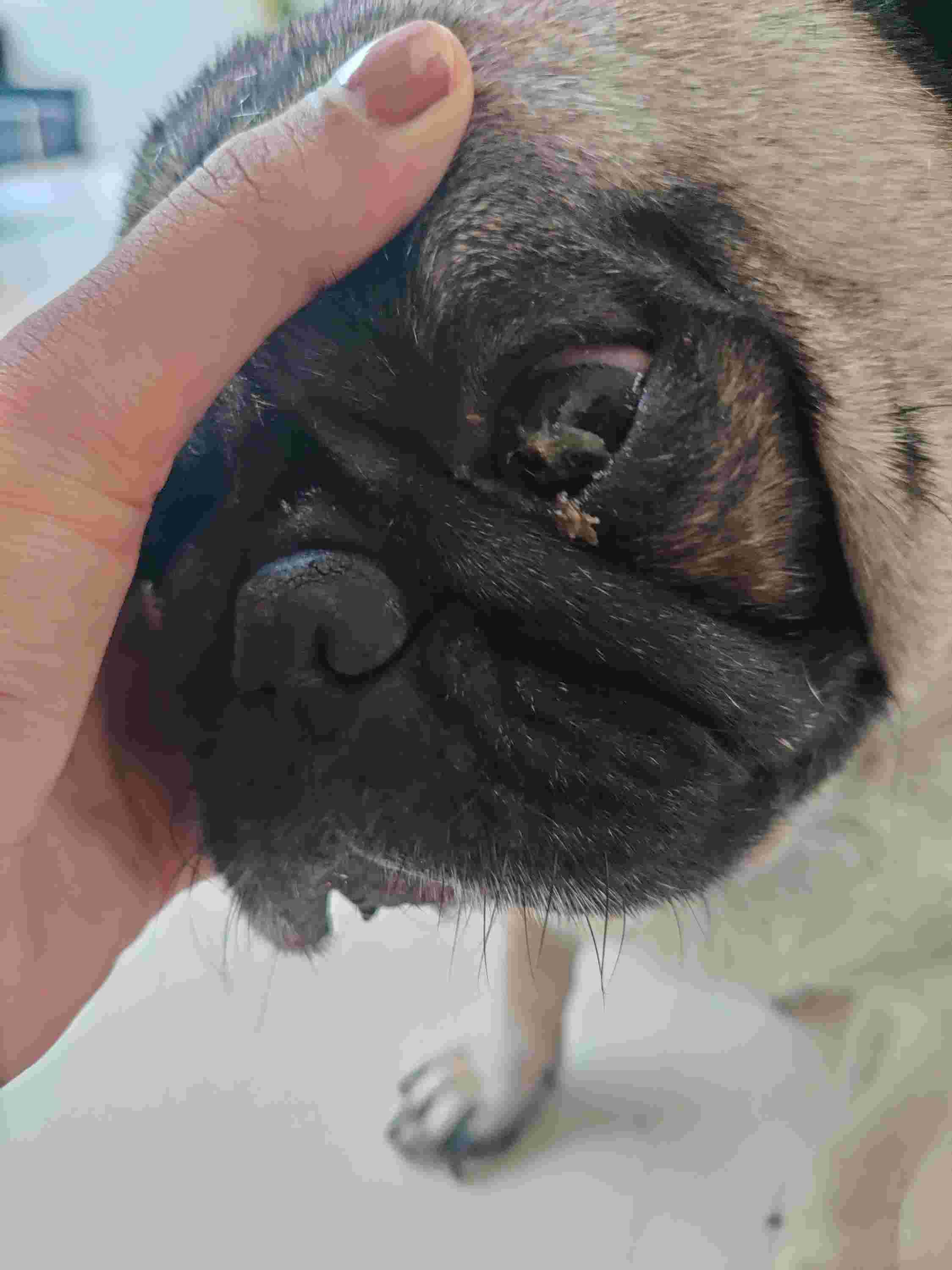 Question details sensitive content