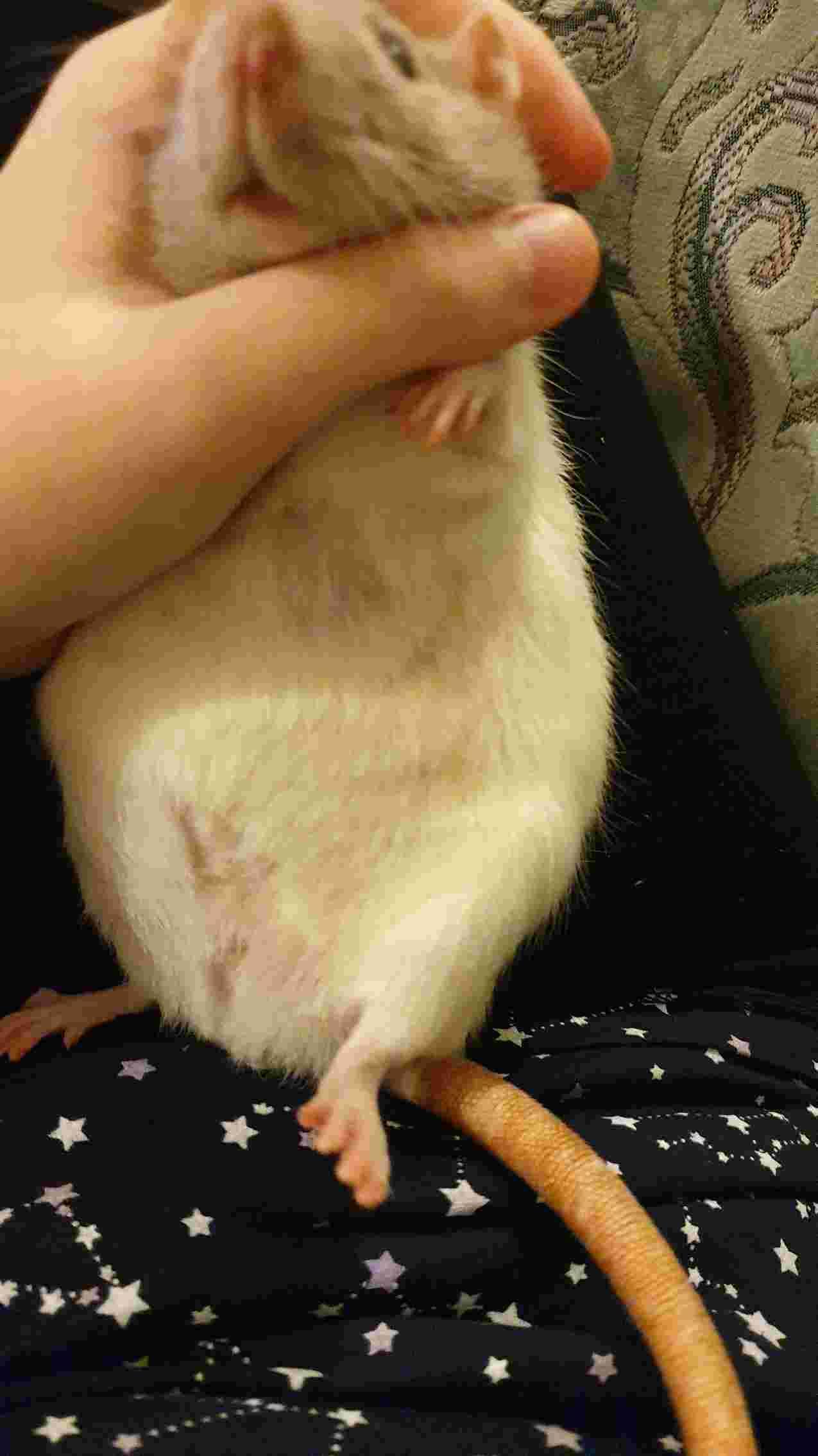 Question details sensitive content