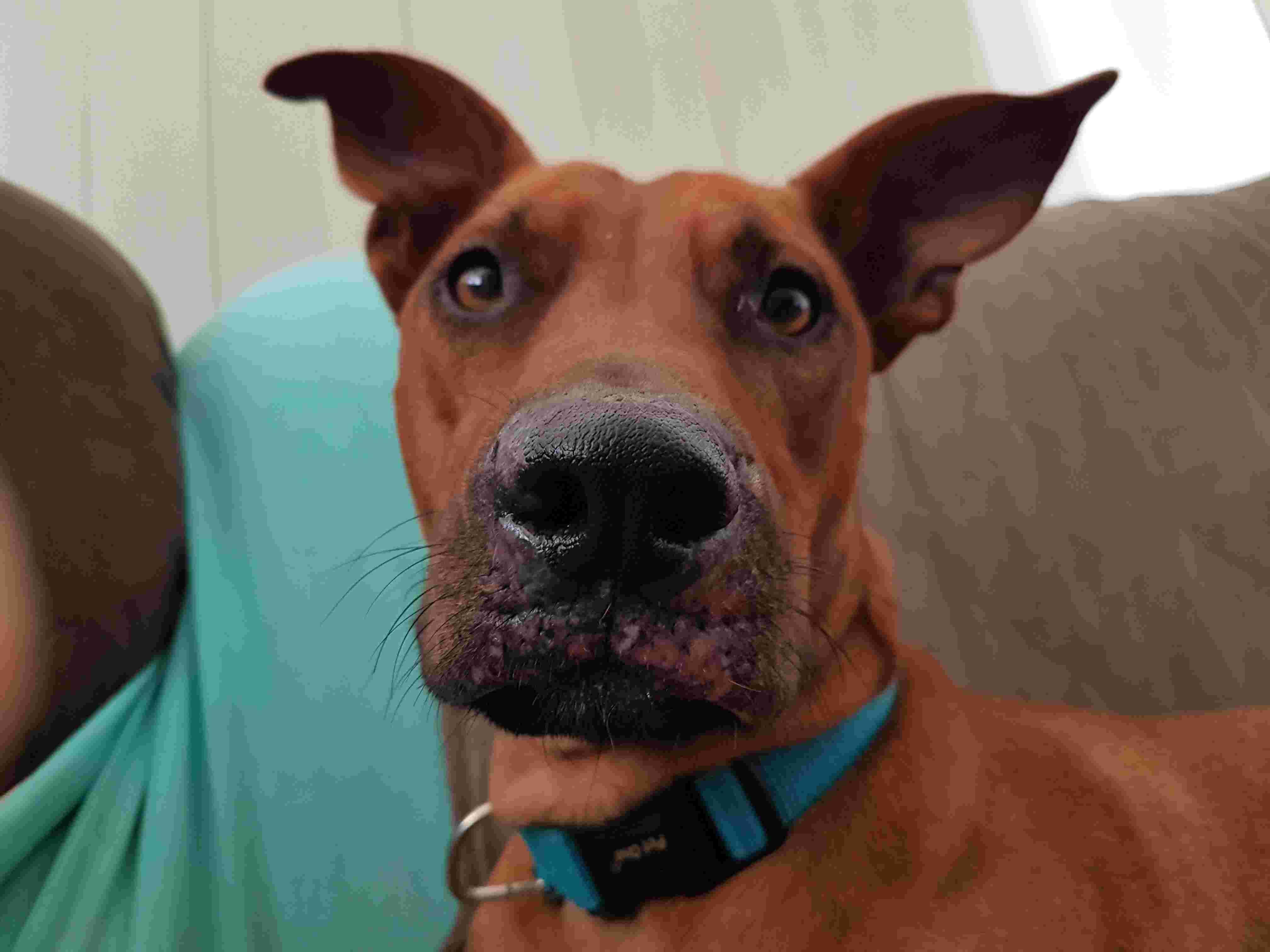 Question details sensitive content