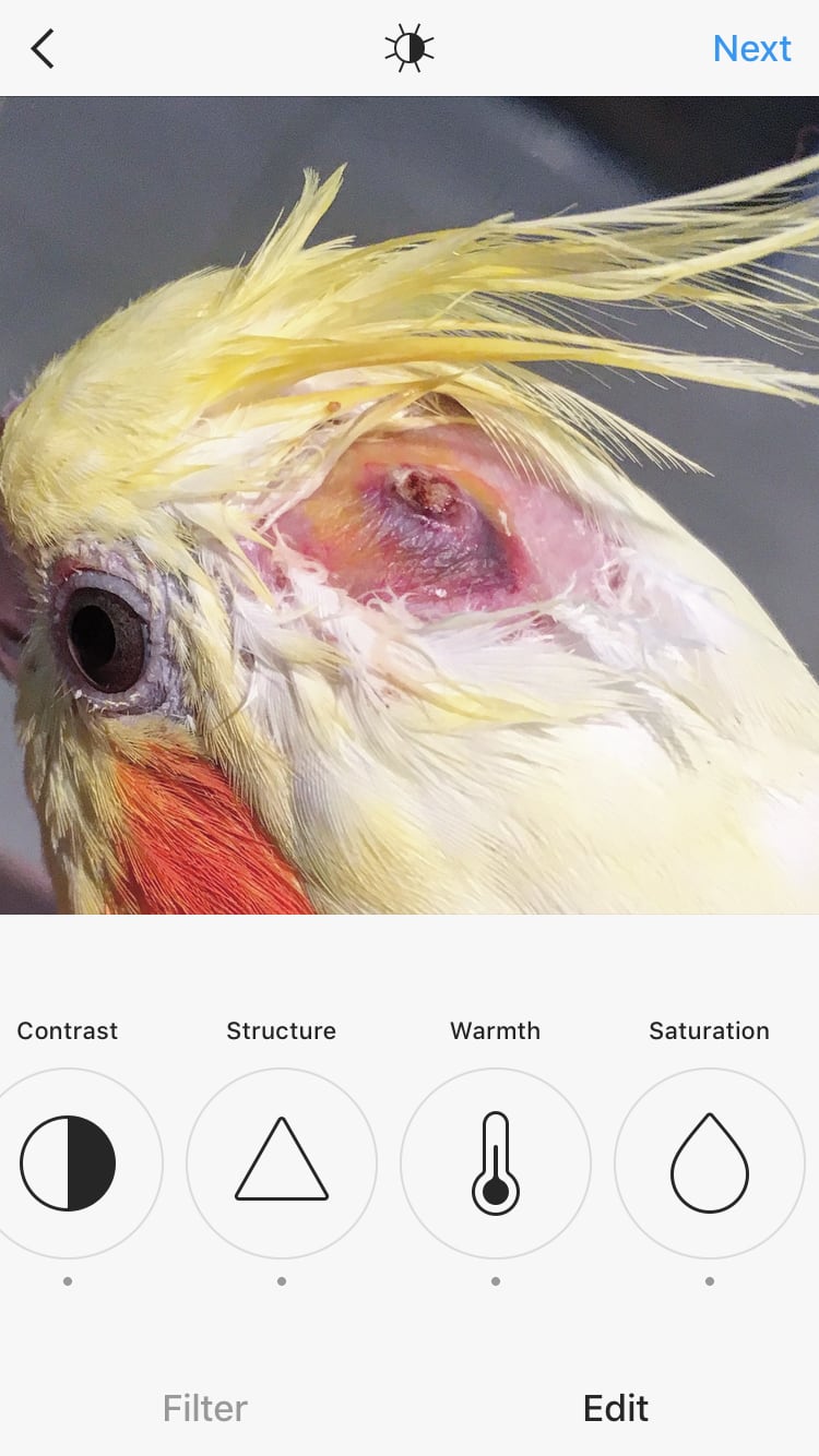 Question details sensitive content