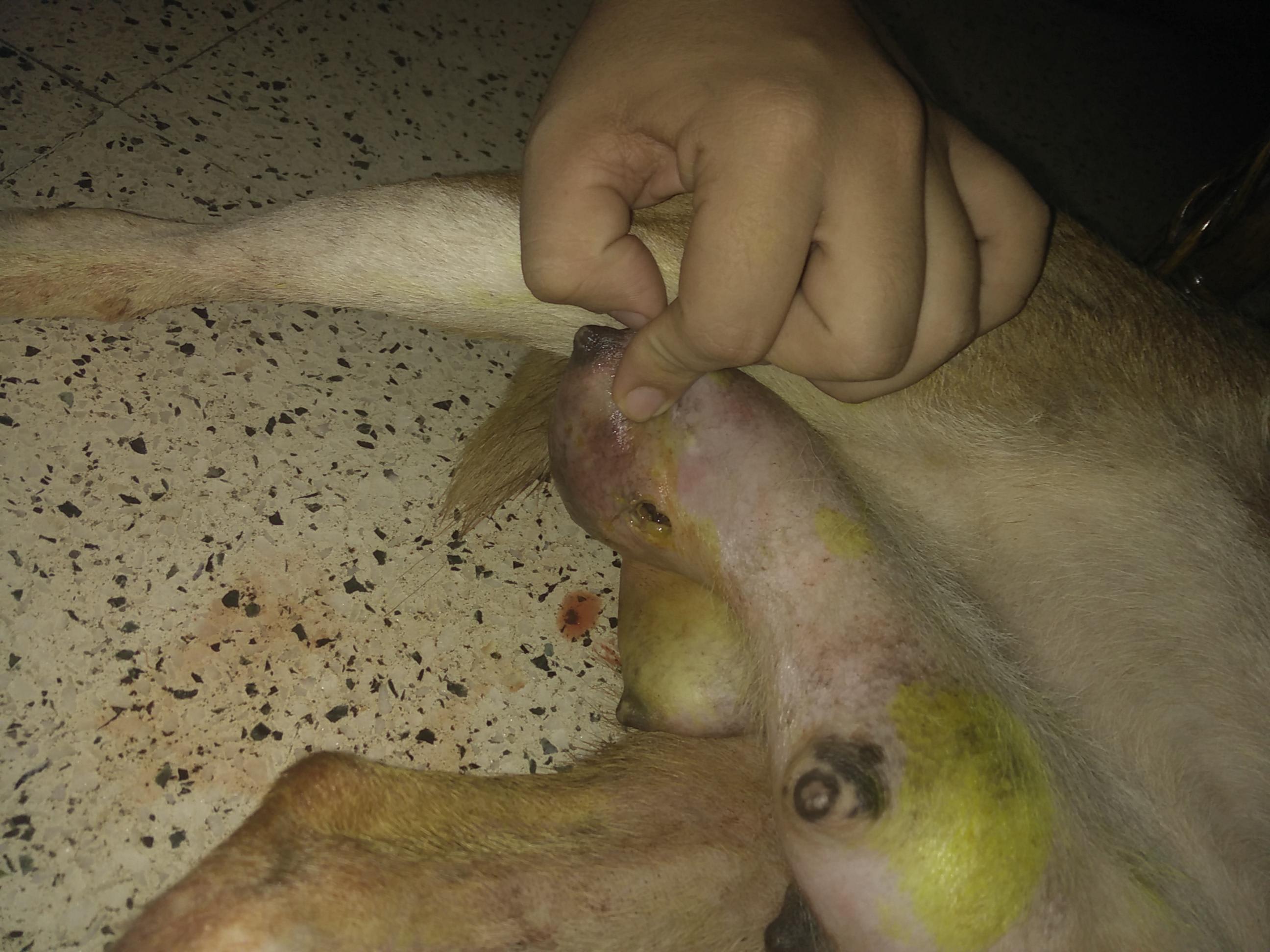 Question details sensitive content