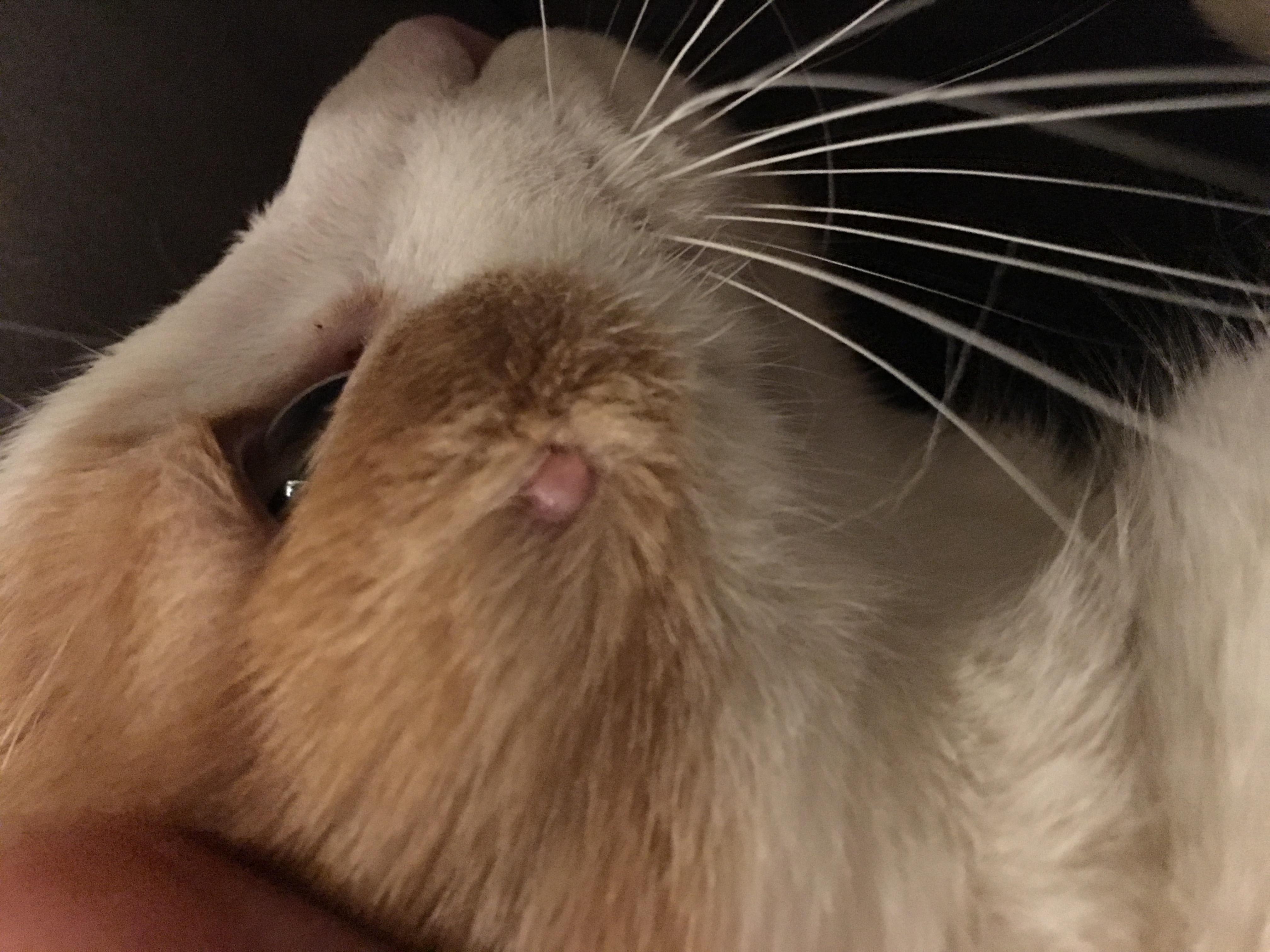 Question details sensitive content