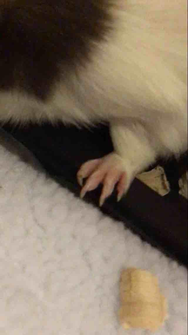 Question details sensitive content