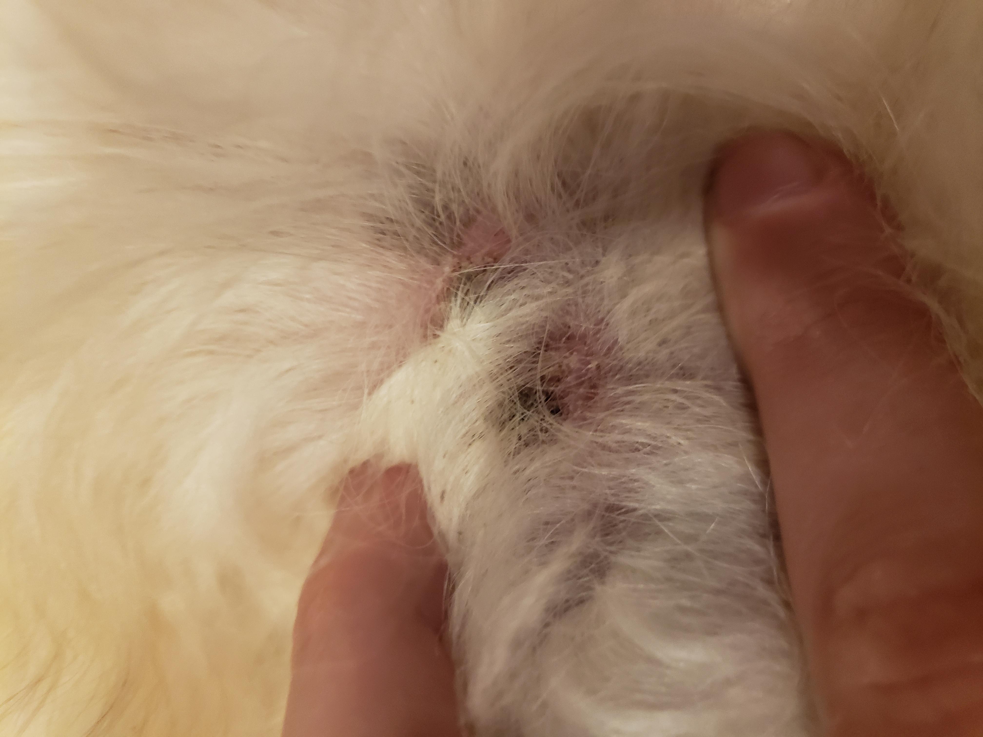 Question details sensitive content