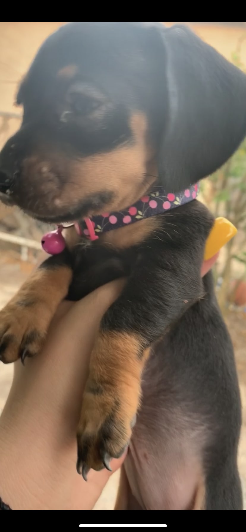 Question details sensitive content