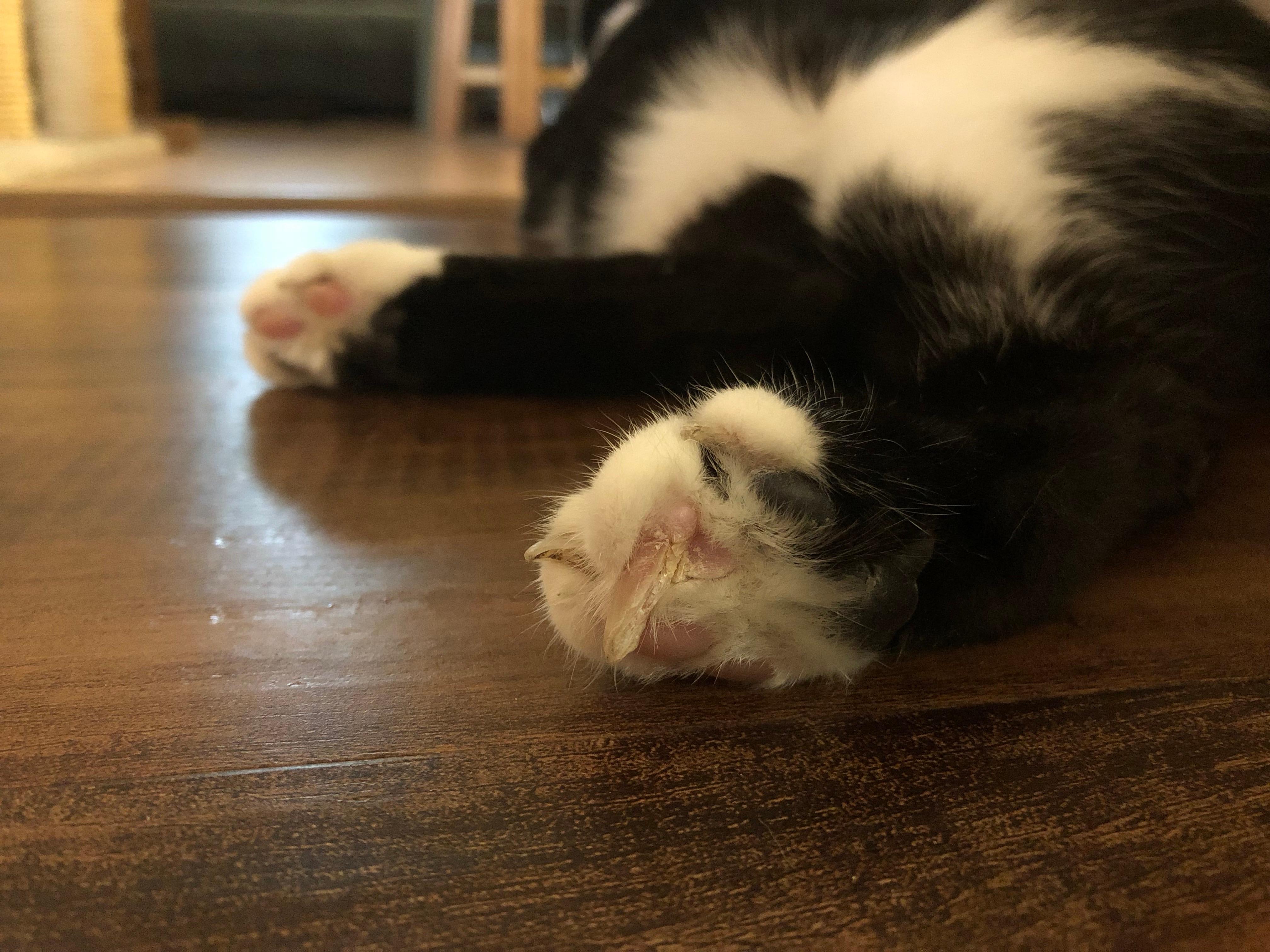 Question details sensitive content