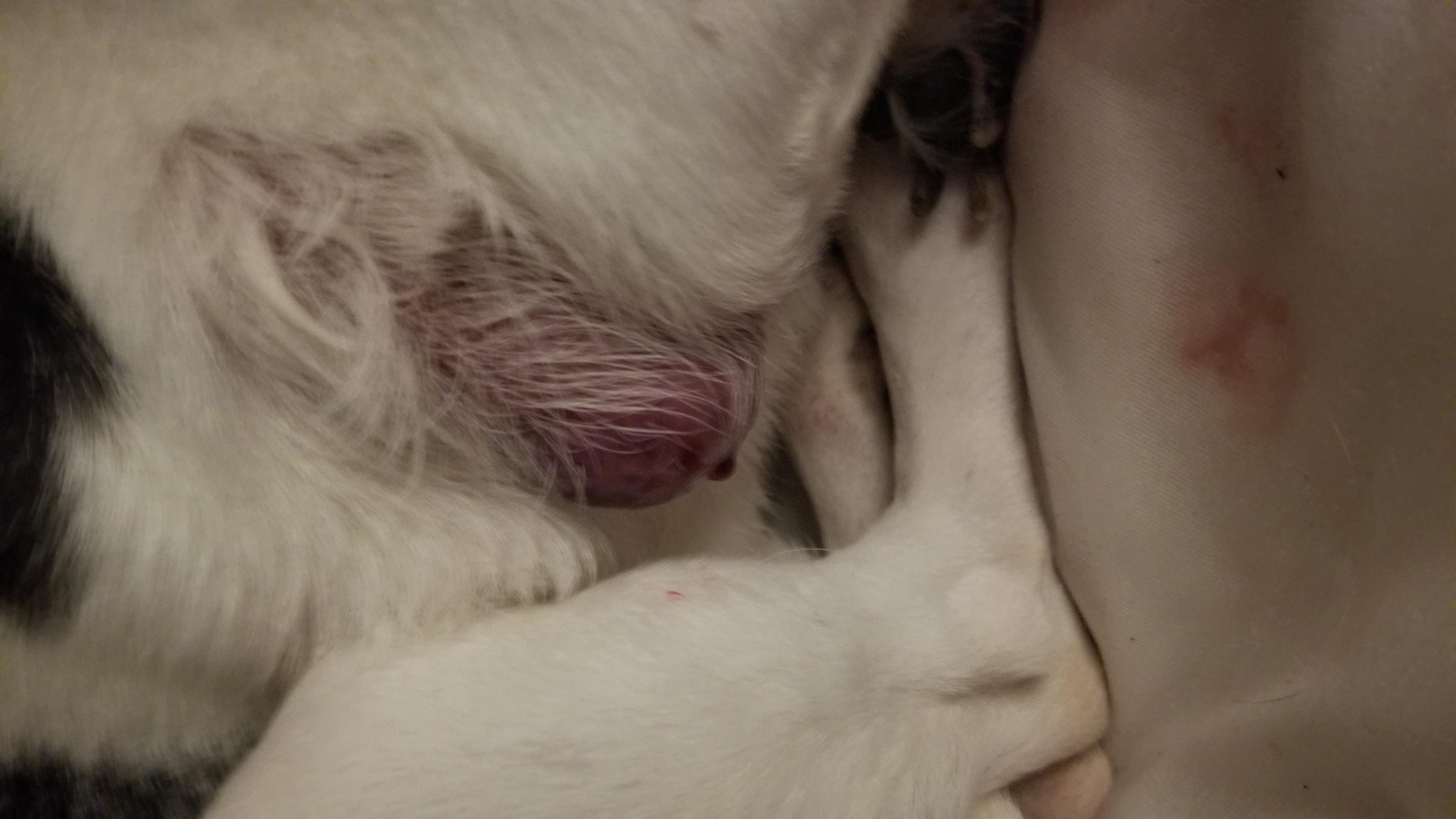 Question details sensitive content