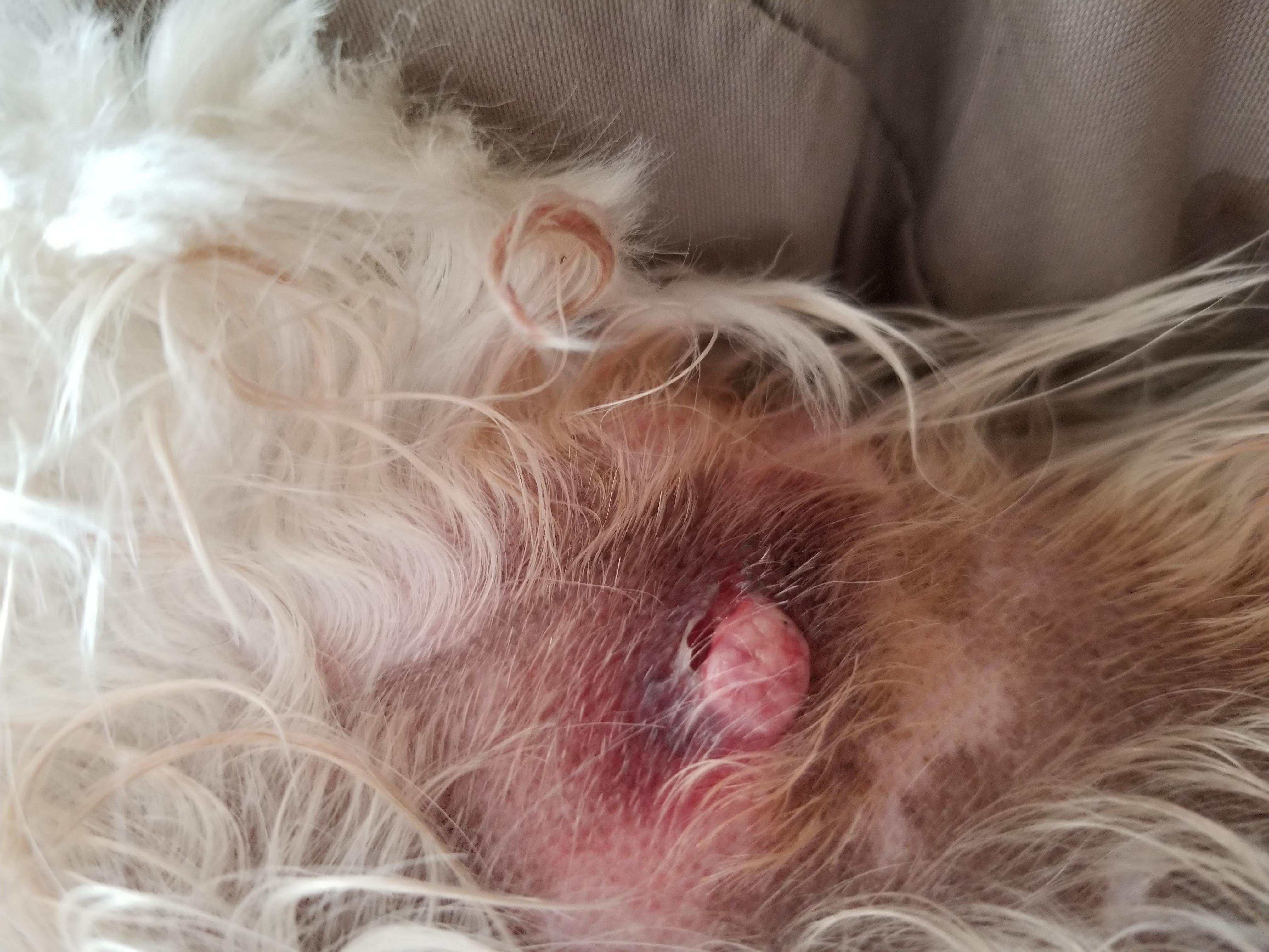 Question details sensitive content