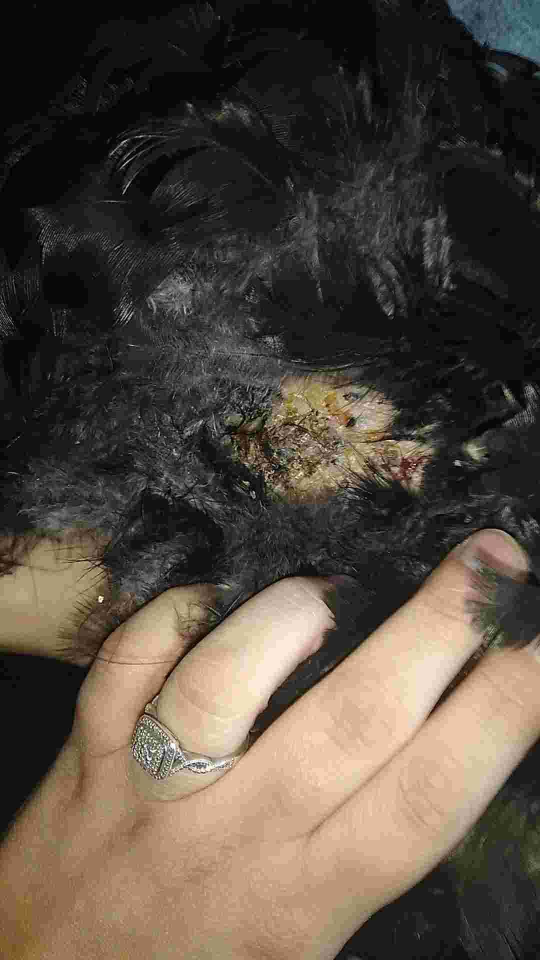 Question details sensitive content