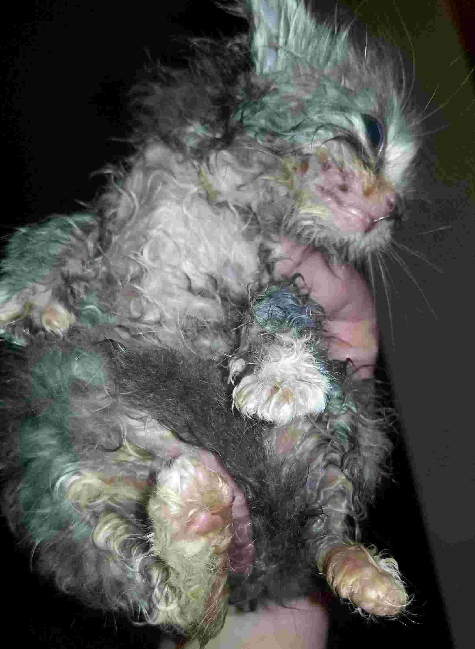 Question details sensitive content