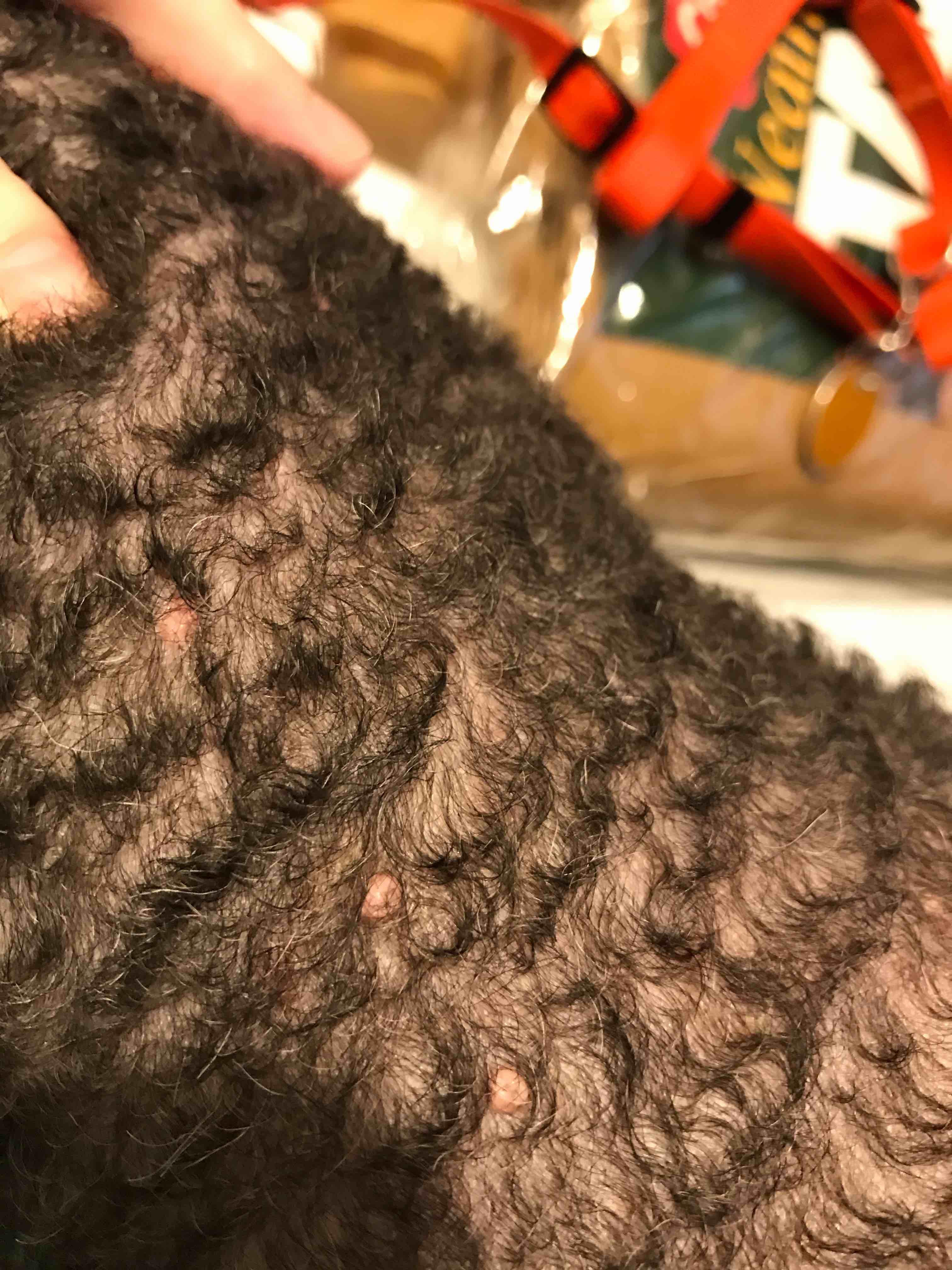 Question details sensitive content