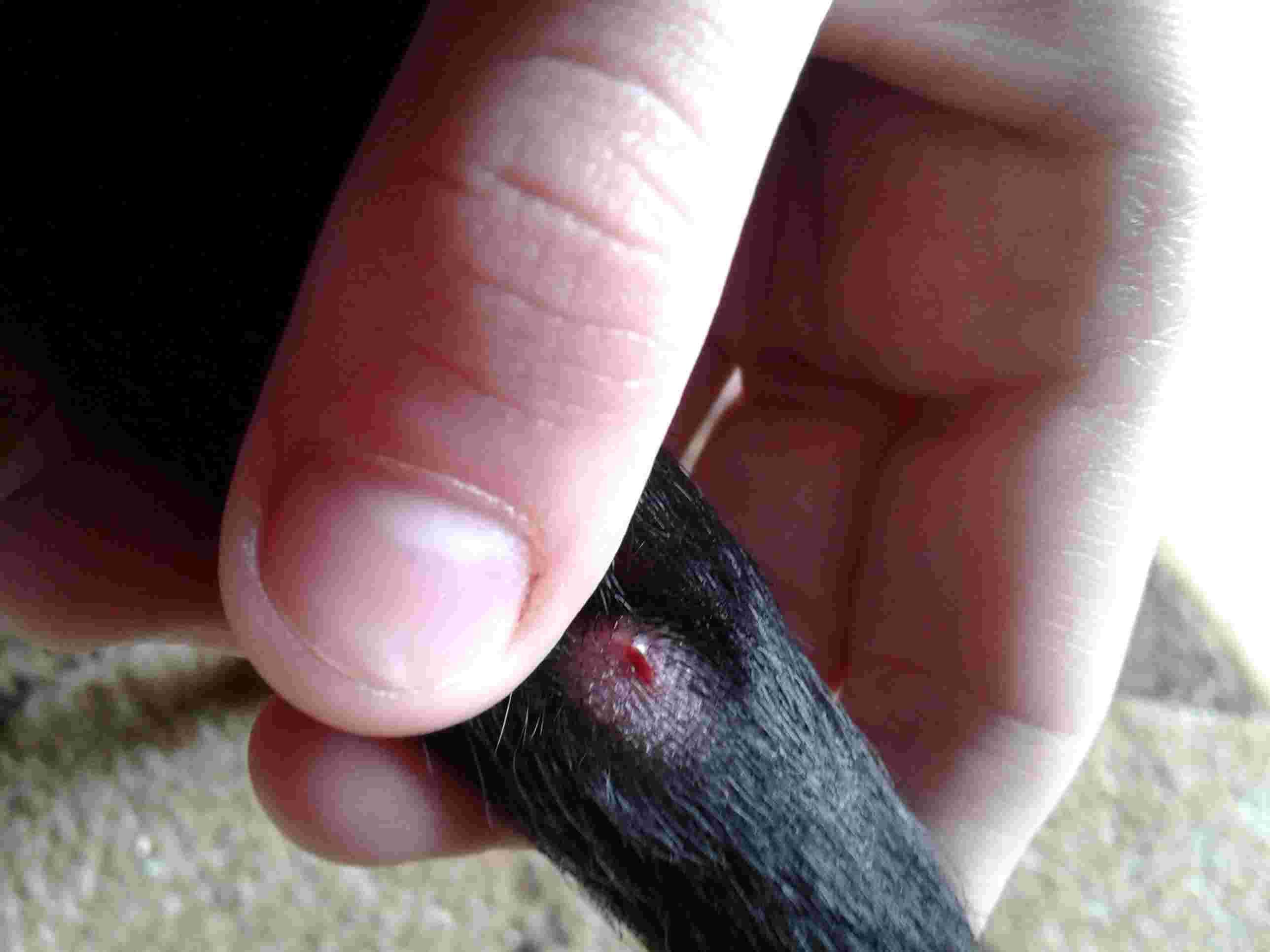 Question details sensitive content