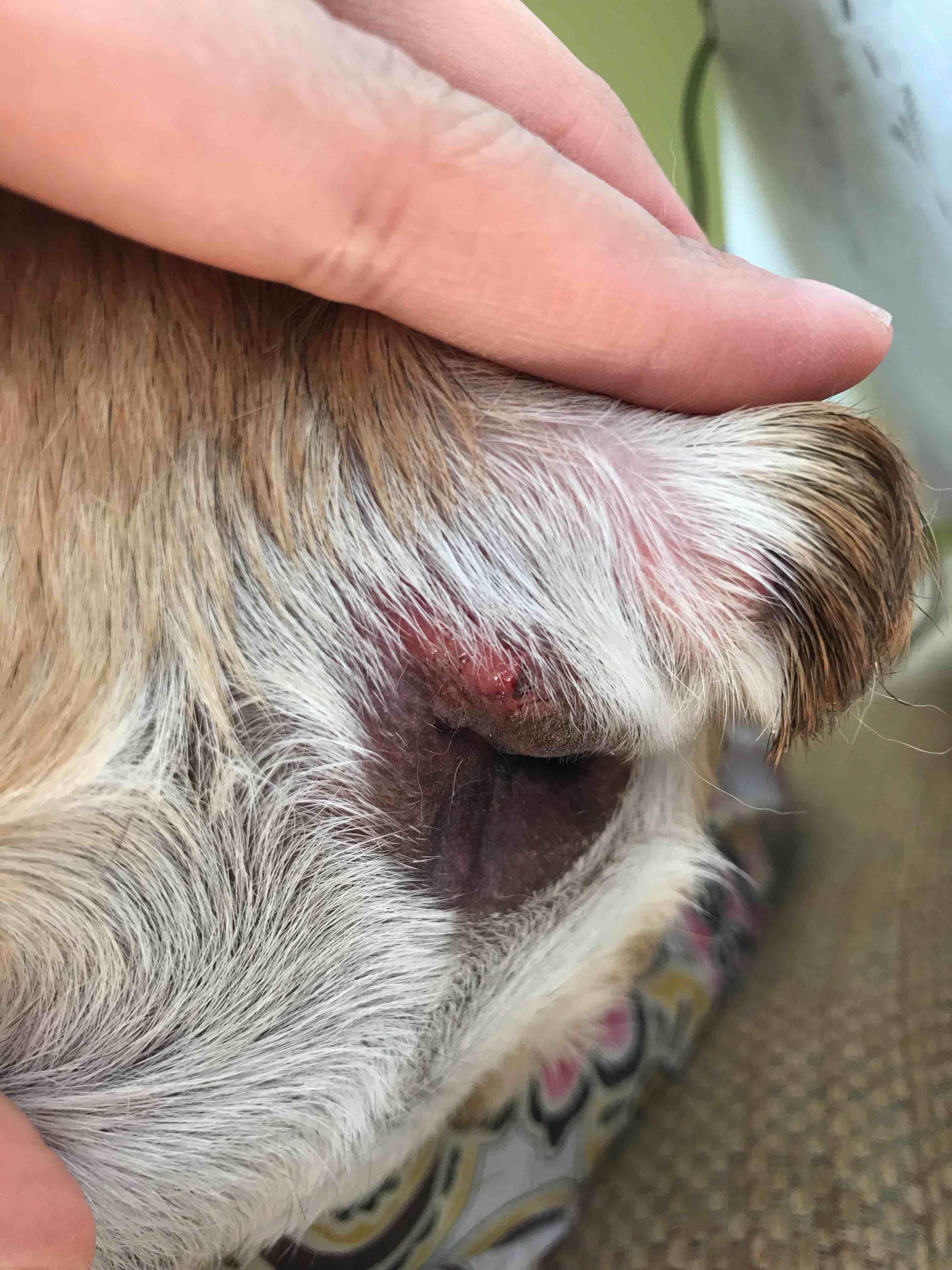 Question details sensitive content