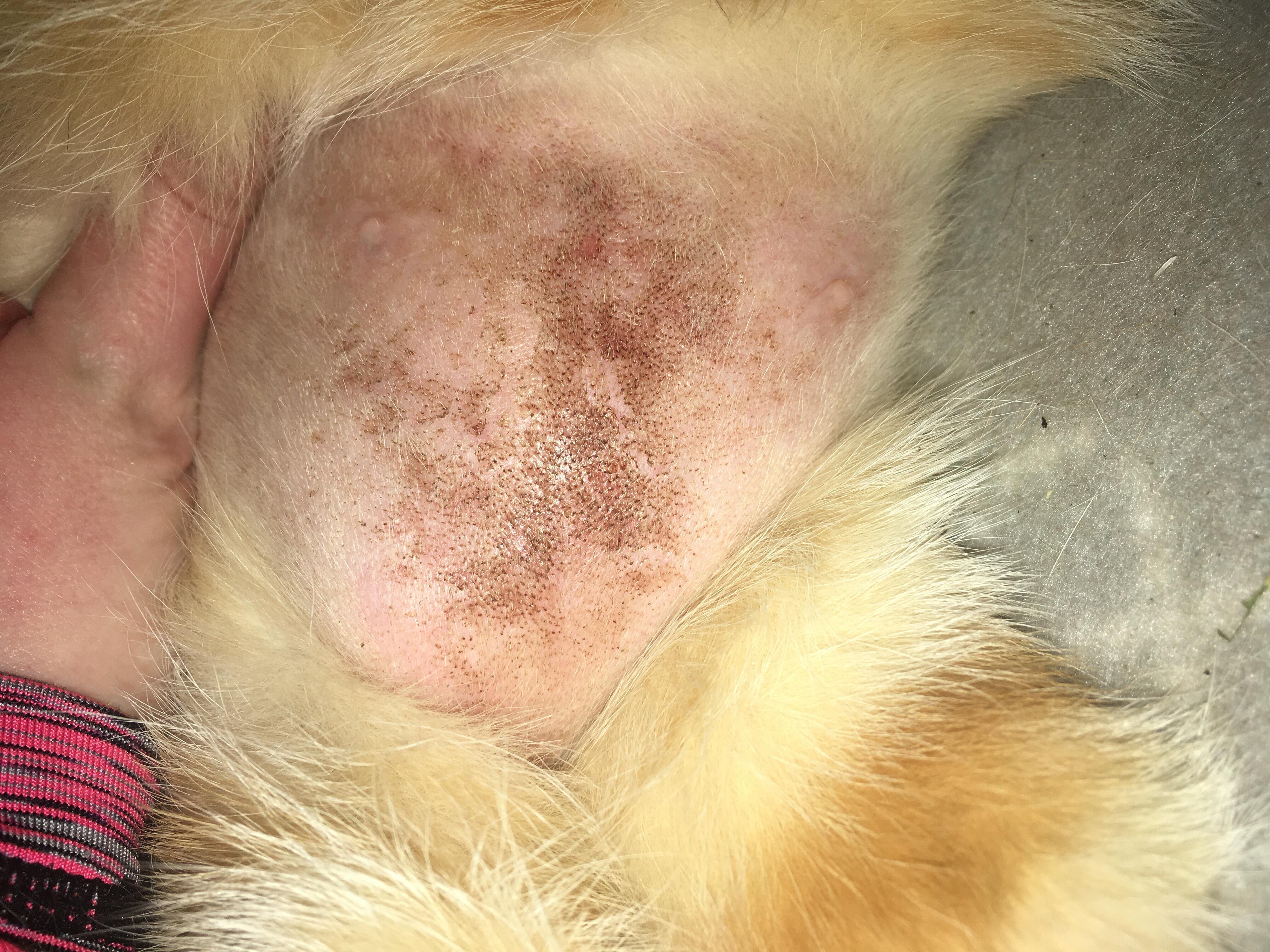 Question details sensitive content