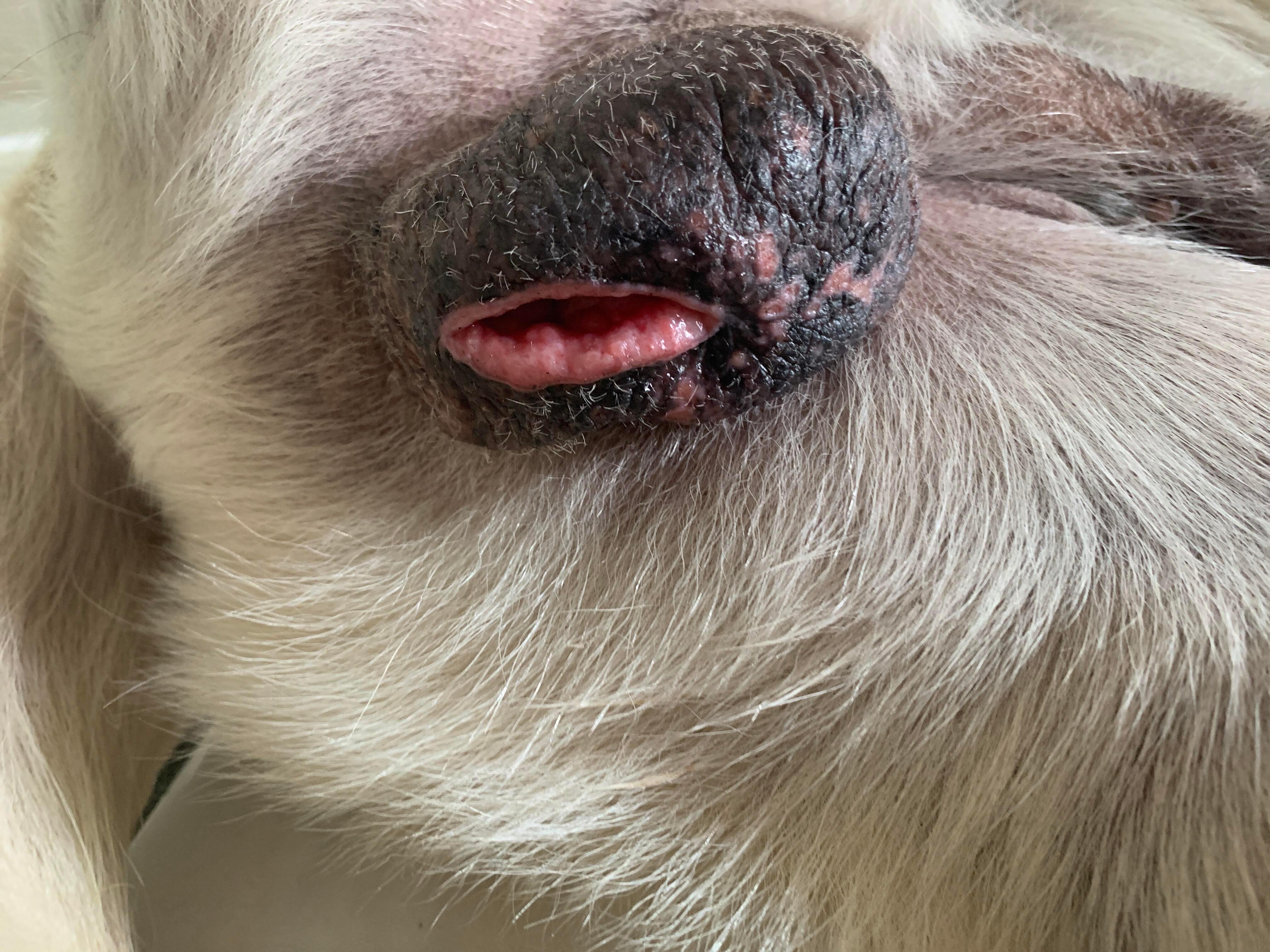 Question details sensitive content