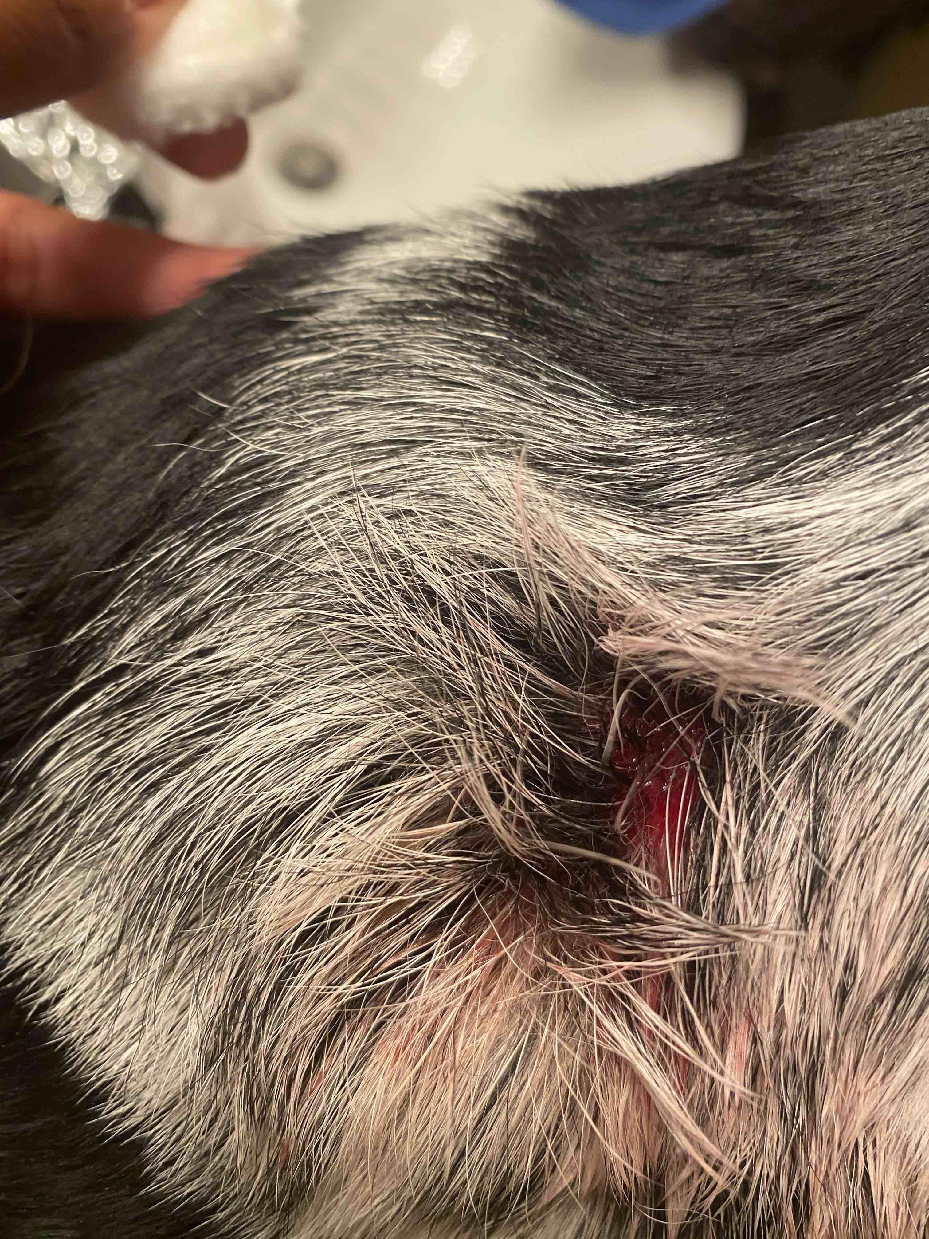 Question details sensitive content