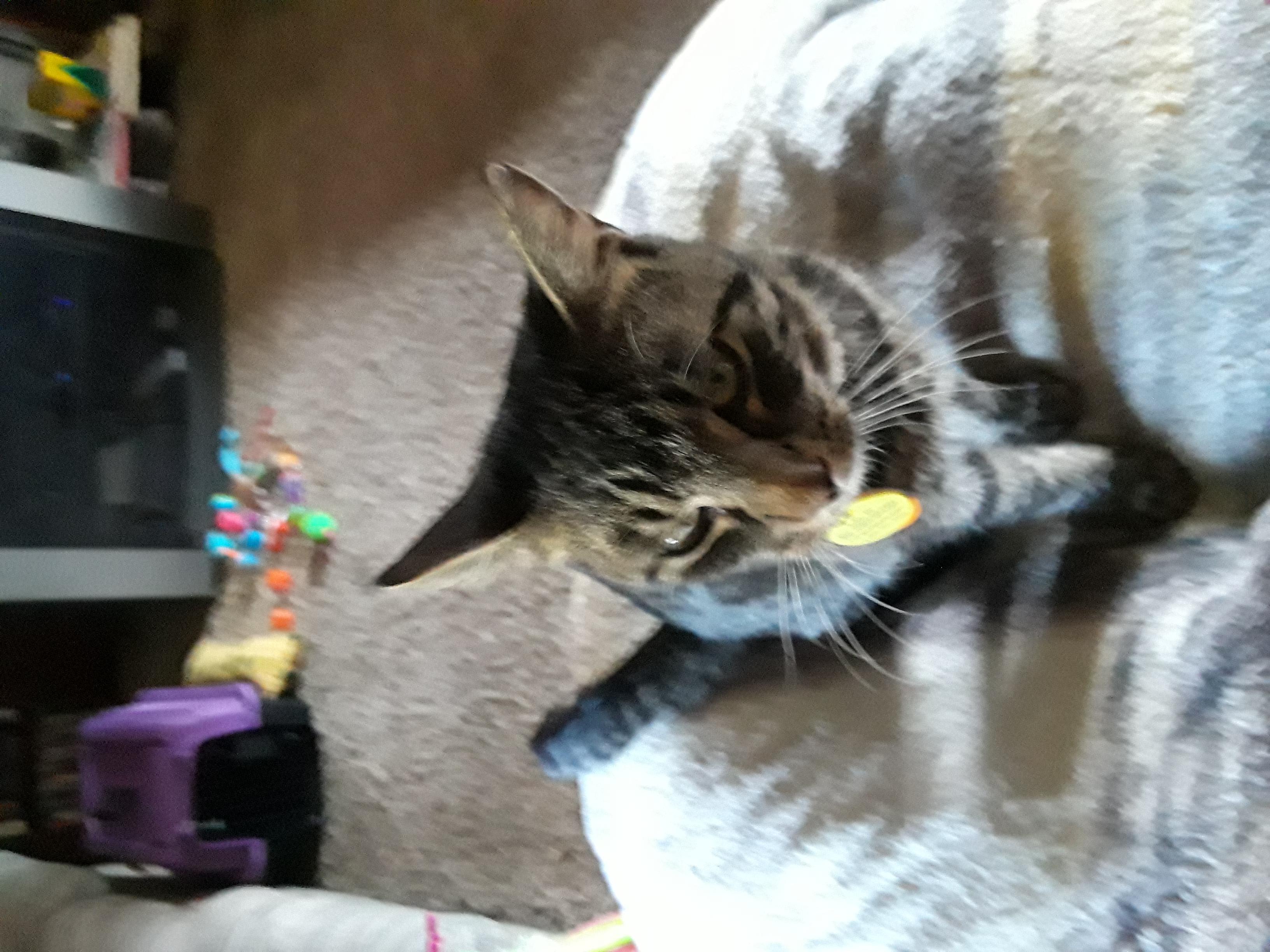 Question details sensitive content