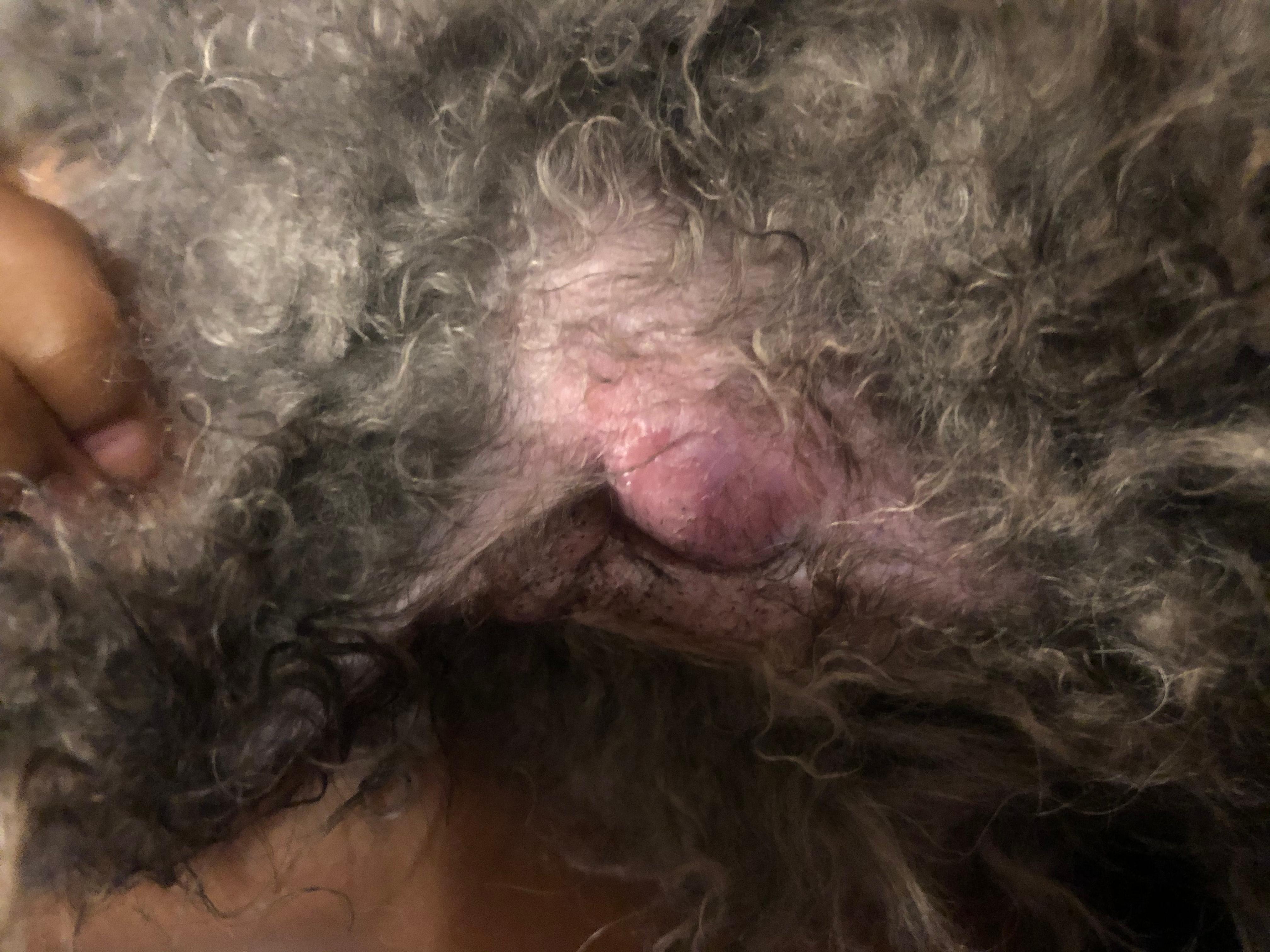 Question details sensitive content