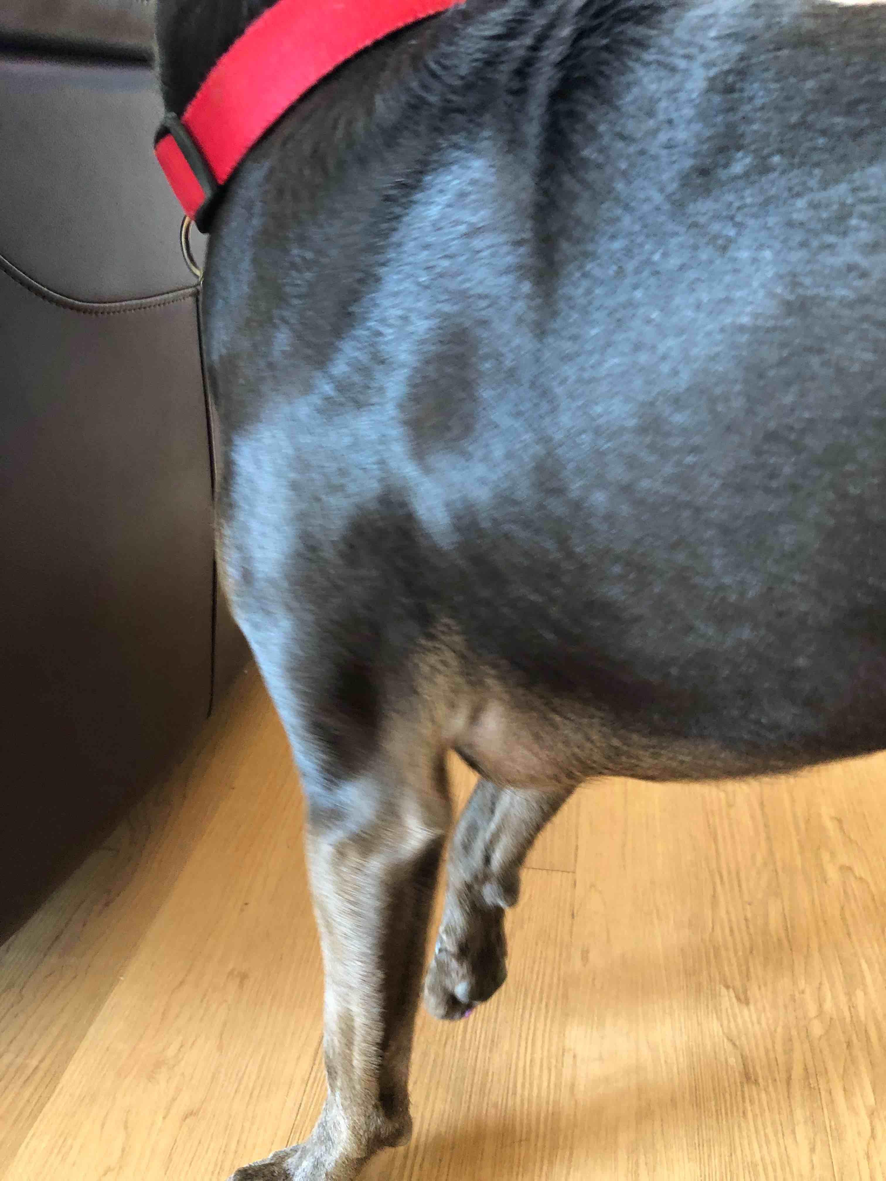 Question details sensitive content