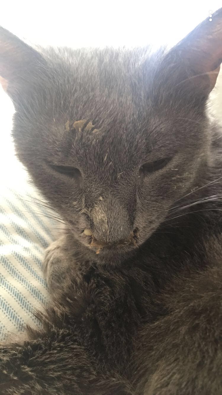 Question details sensitive content