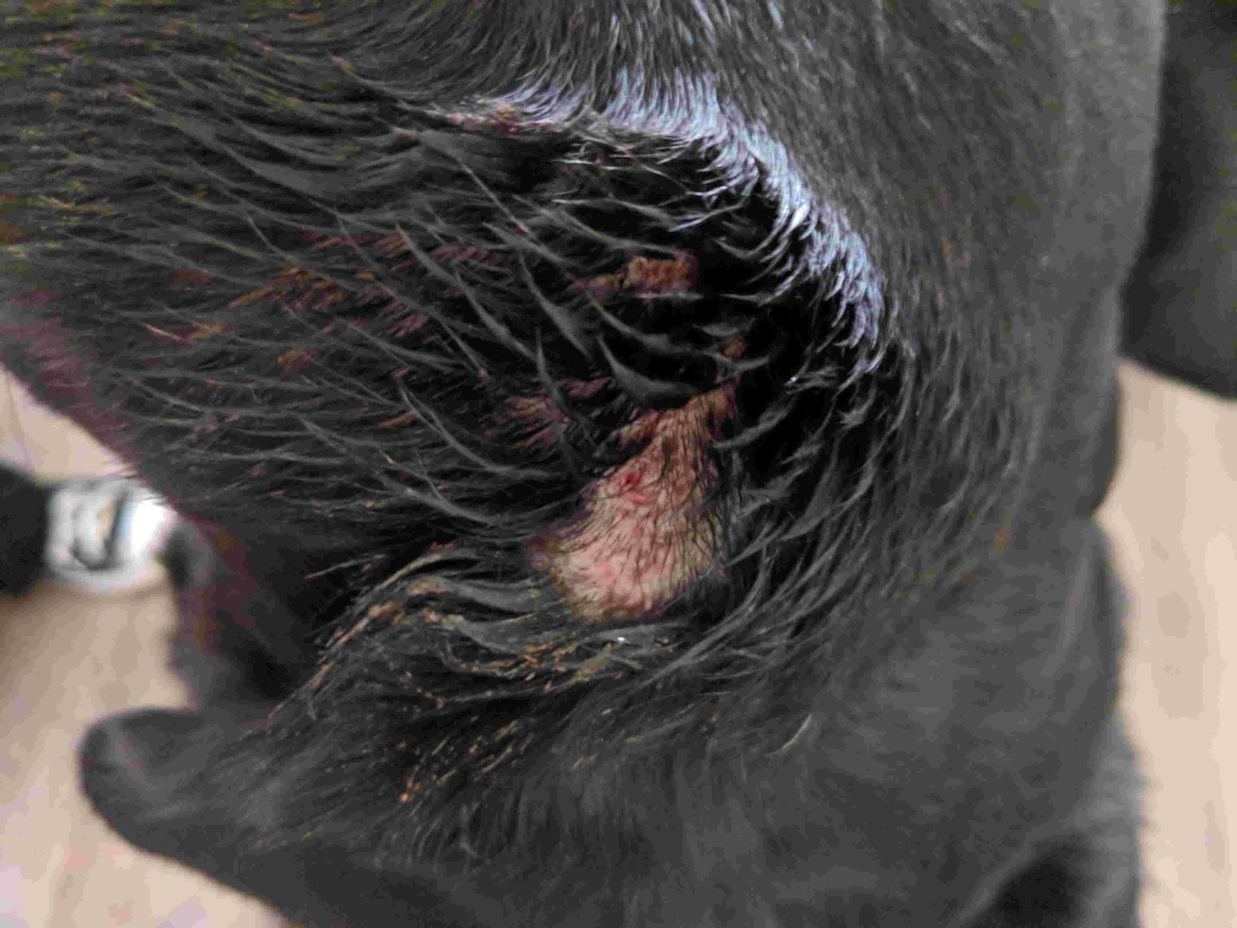 Question details sensitive content