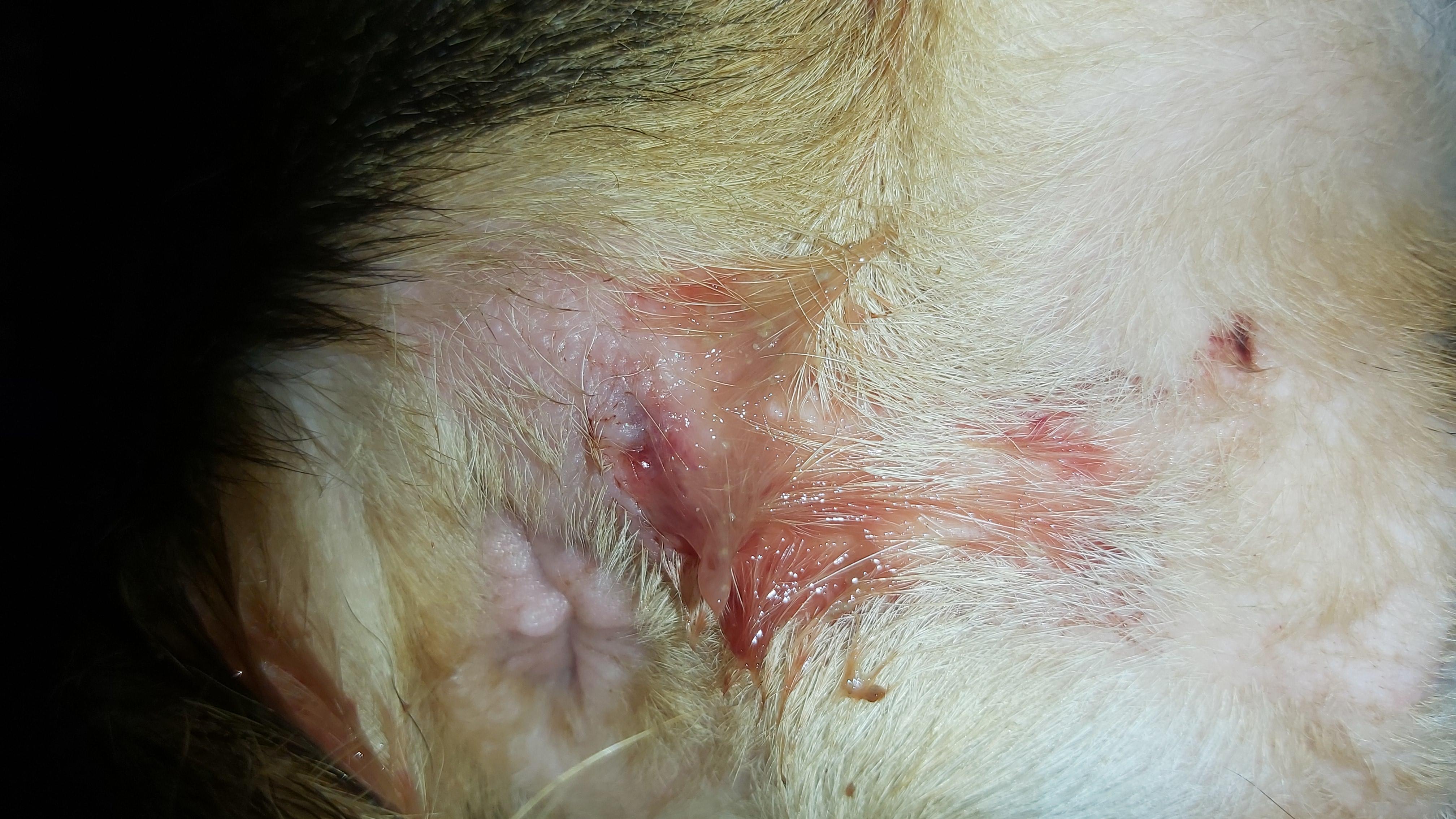 Question details sensitive content