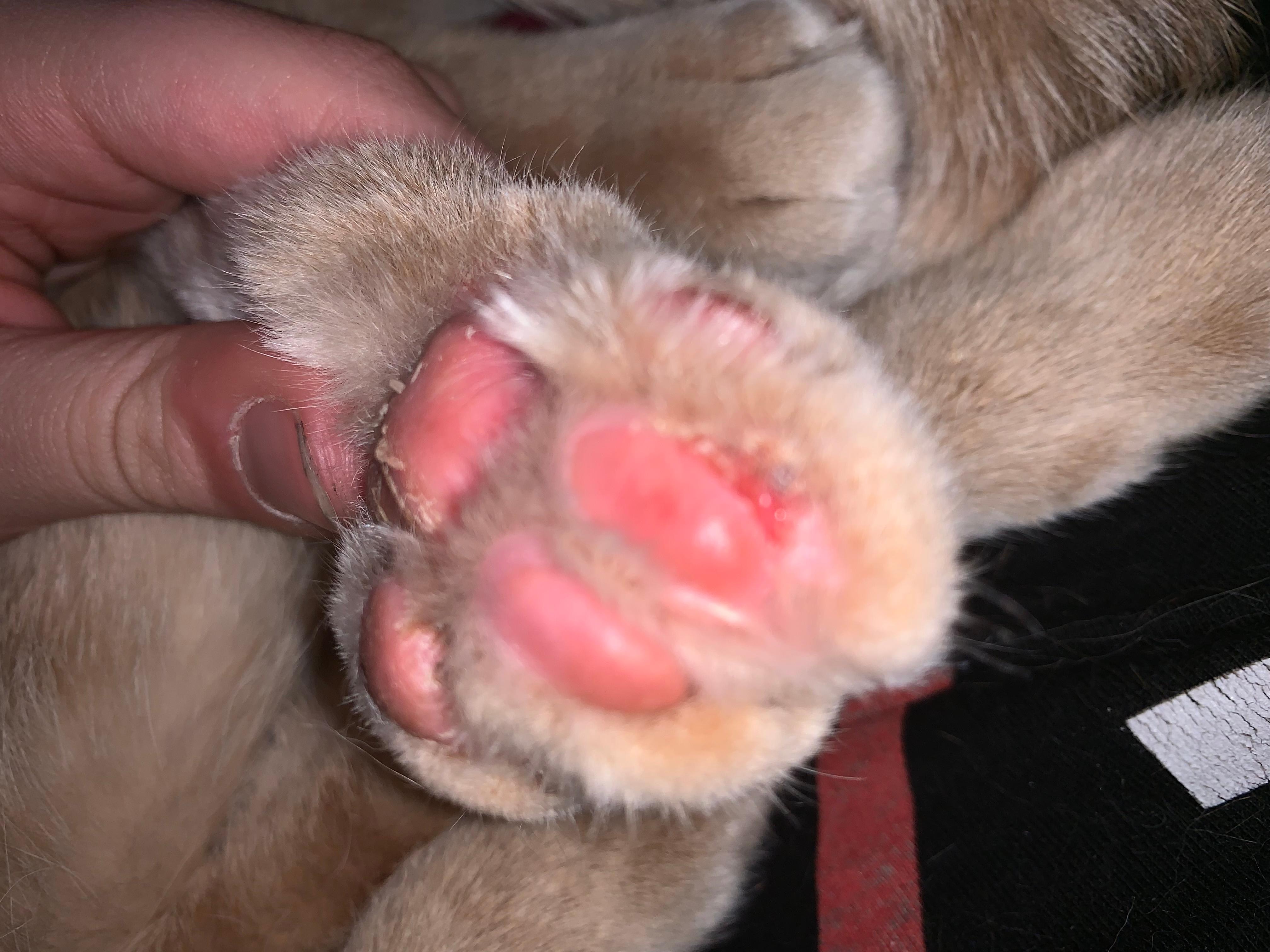 Question details sensitive content