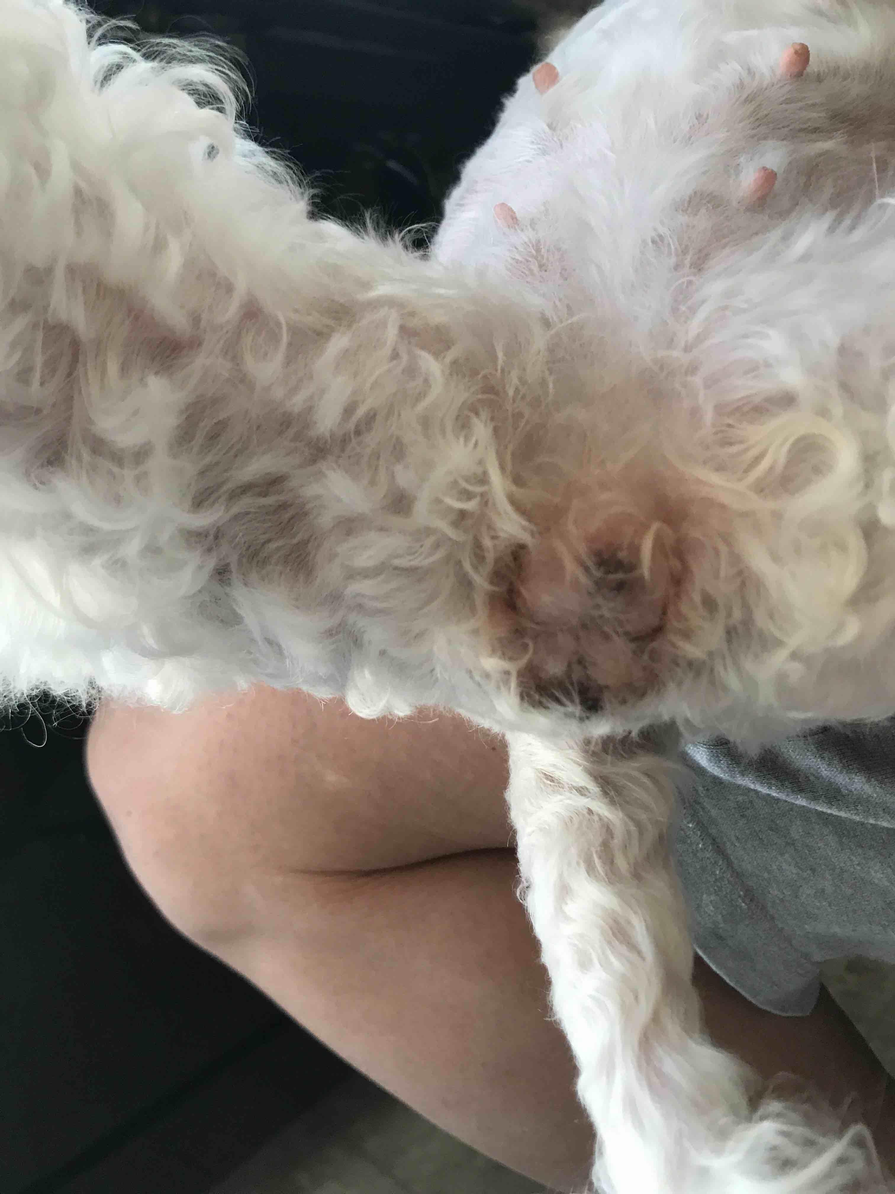 Question details sensitive content