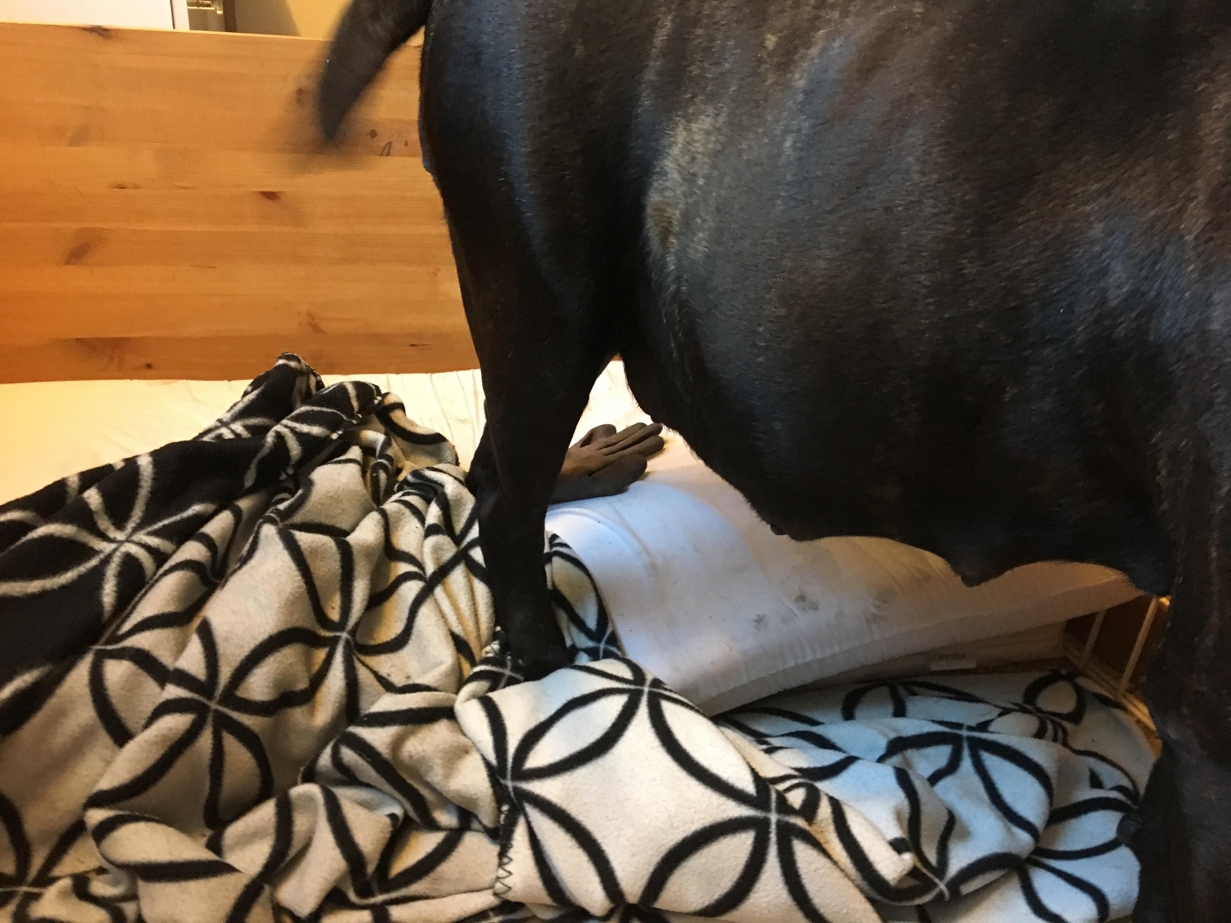 Question details sensitive content