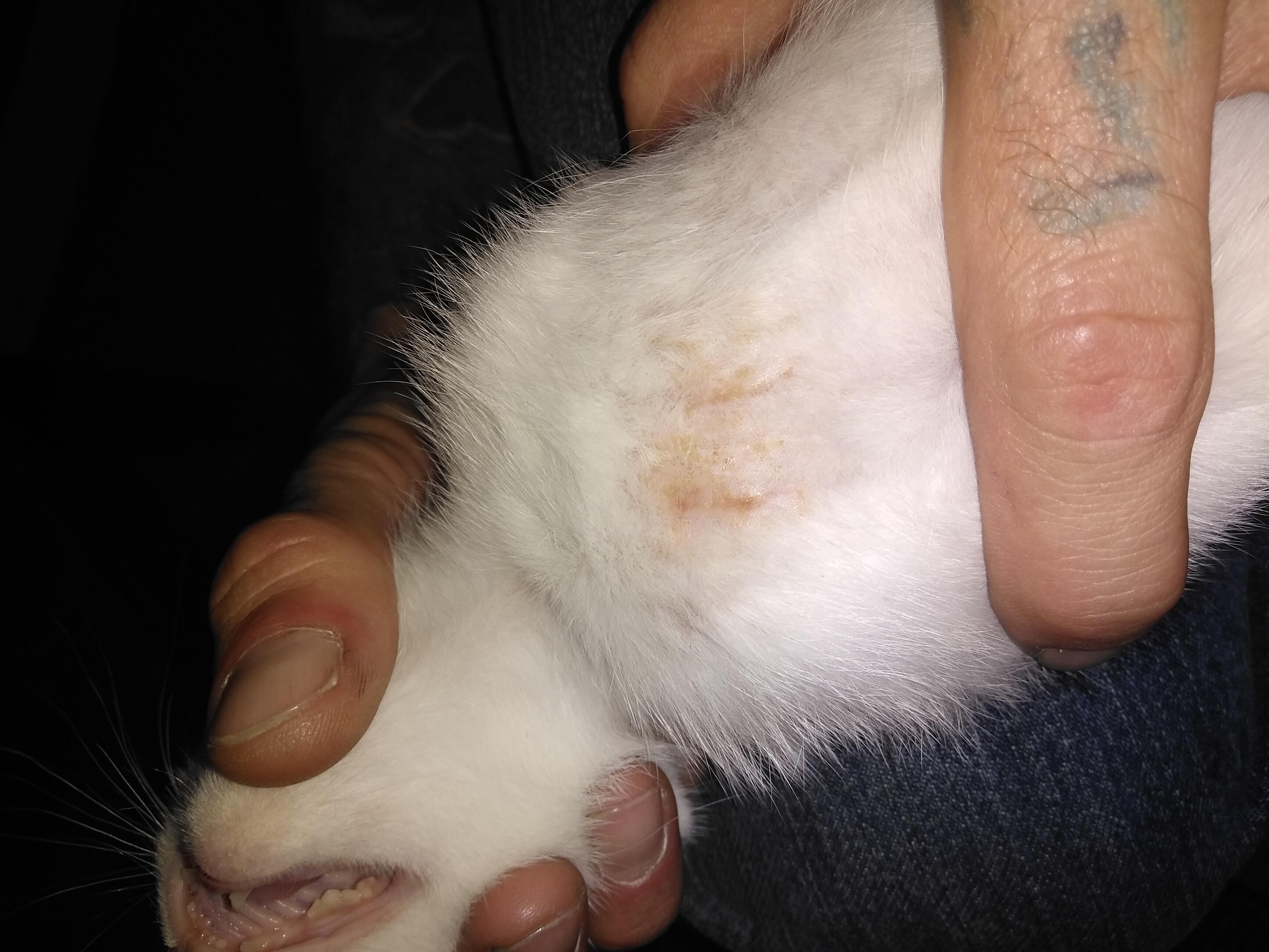 Question details sensitive content