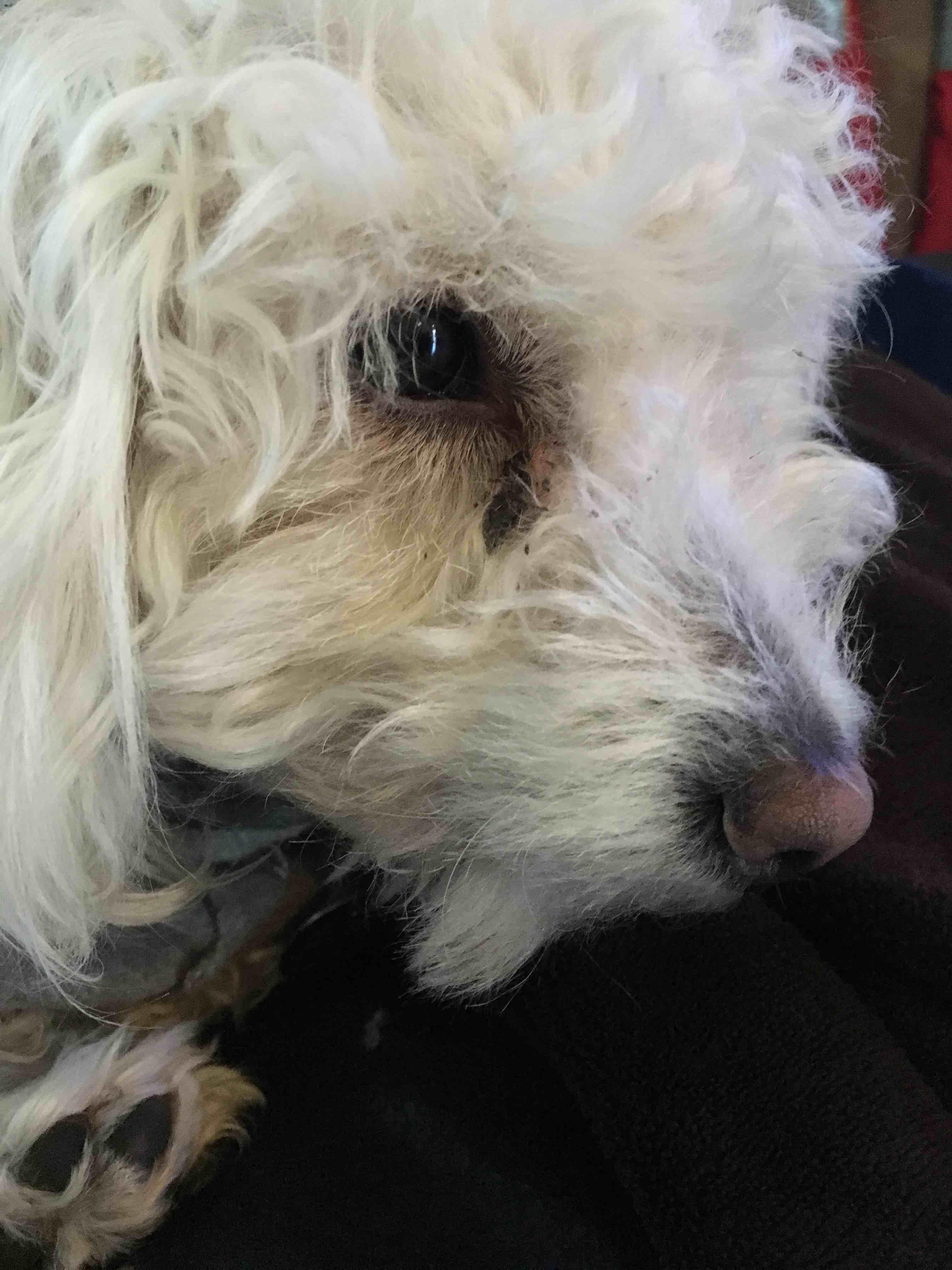 Question details sensitive content