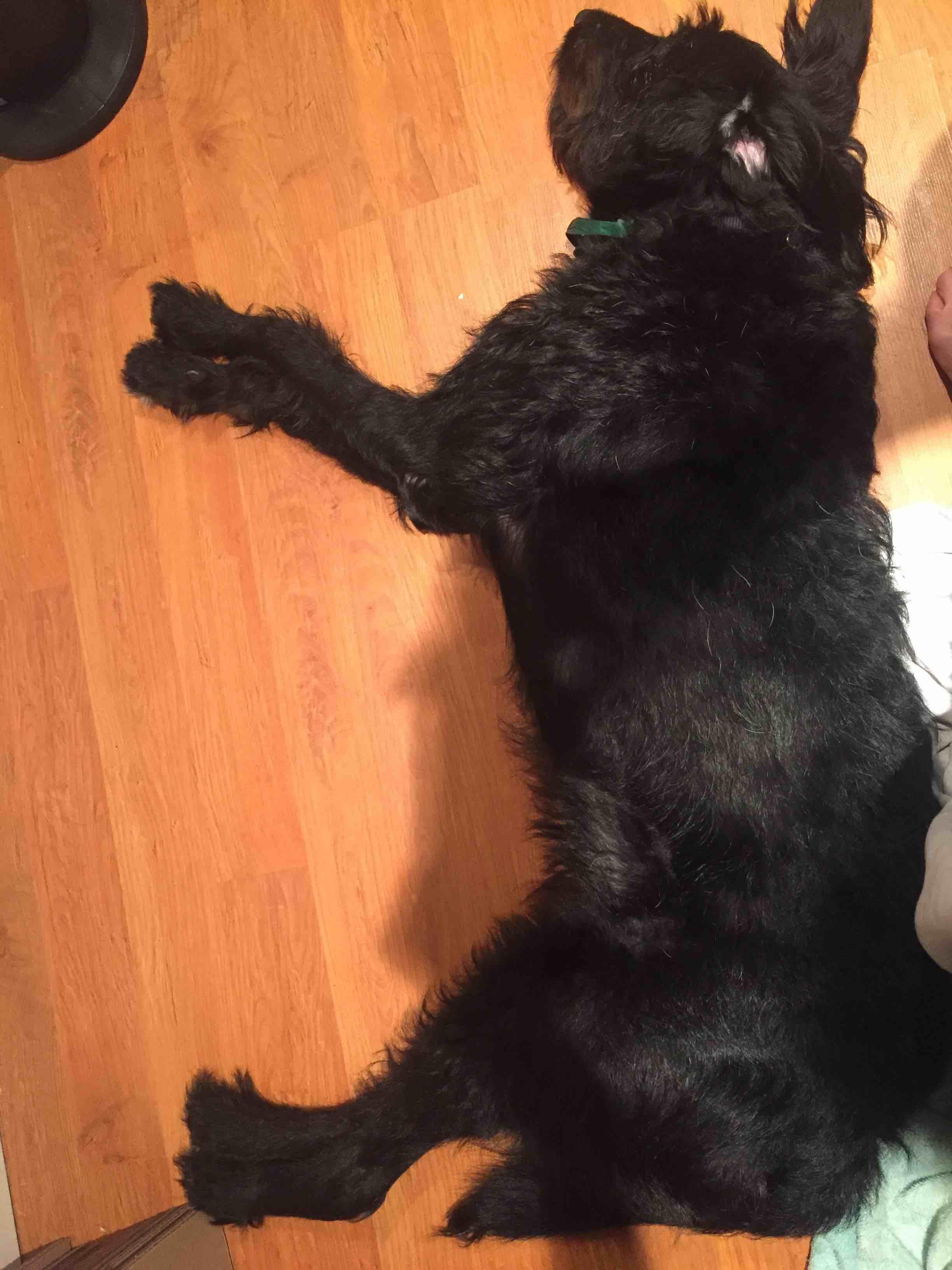 Question details sensitive content