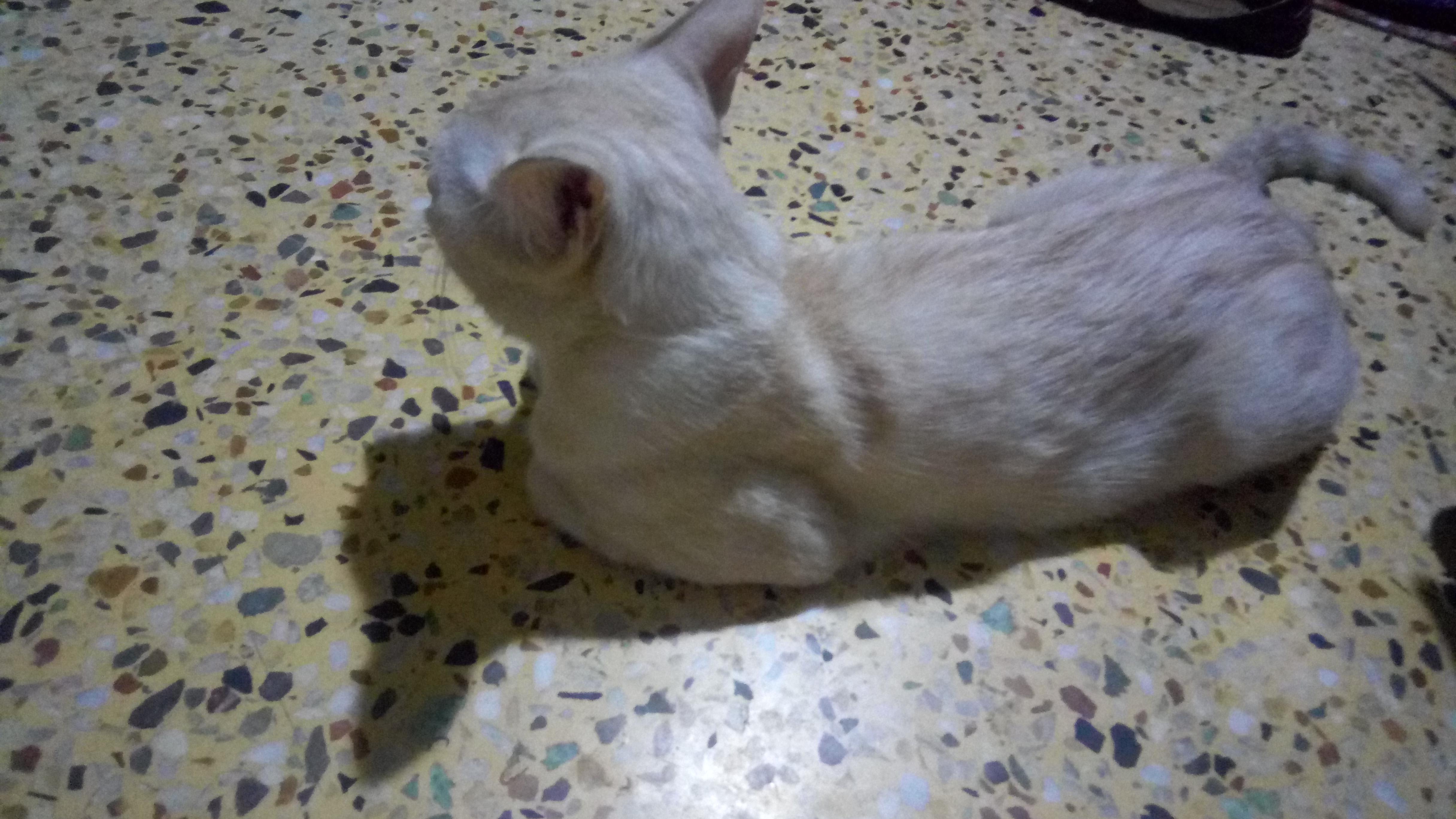 Question details sensitive content