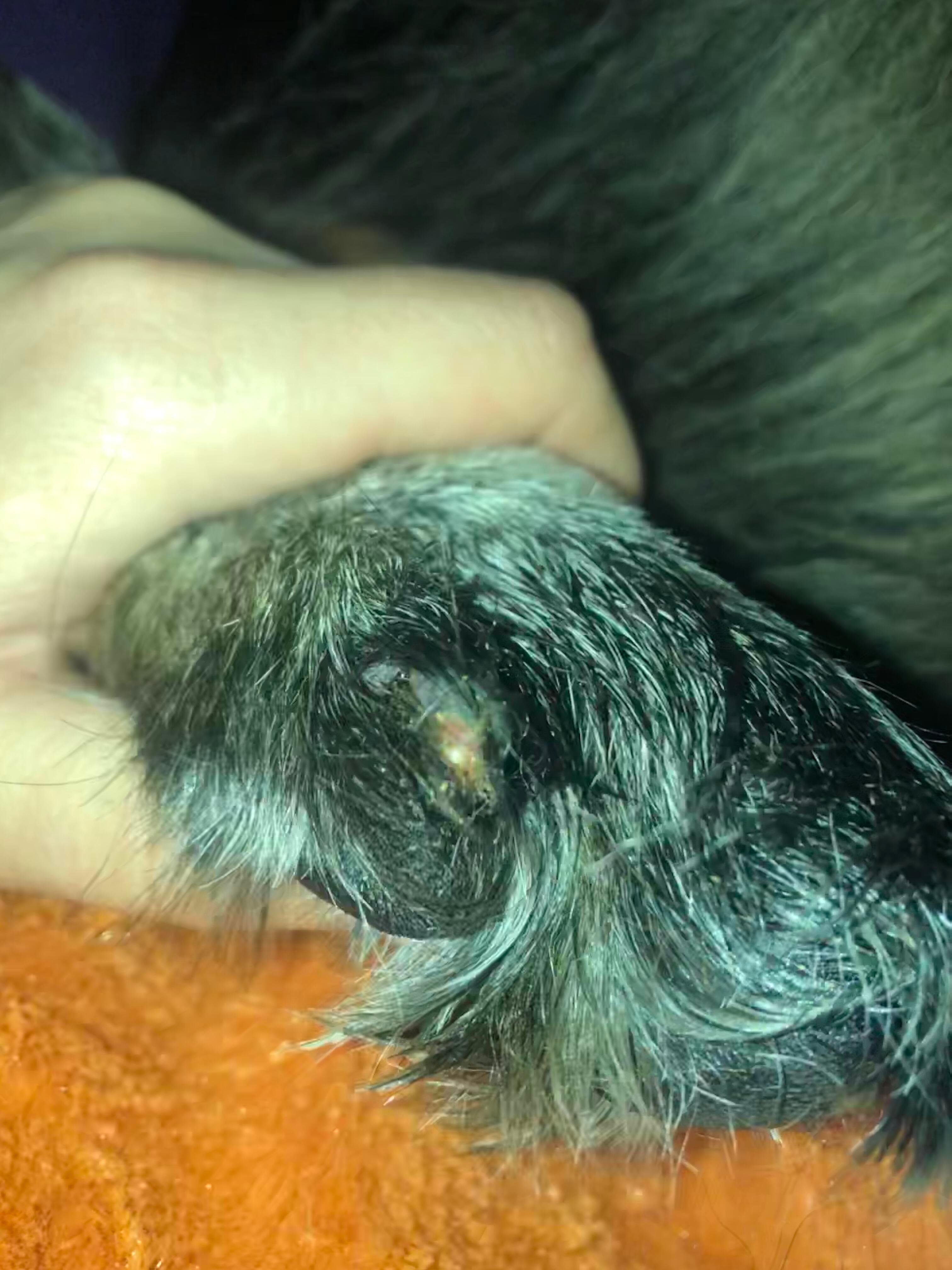 Question details sensitive content