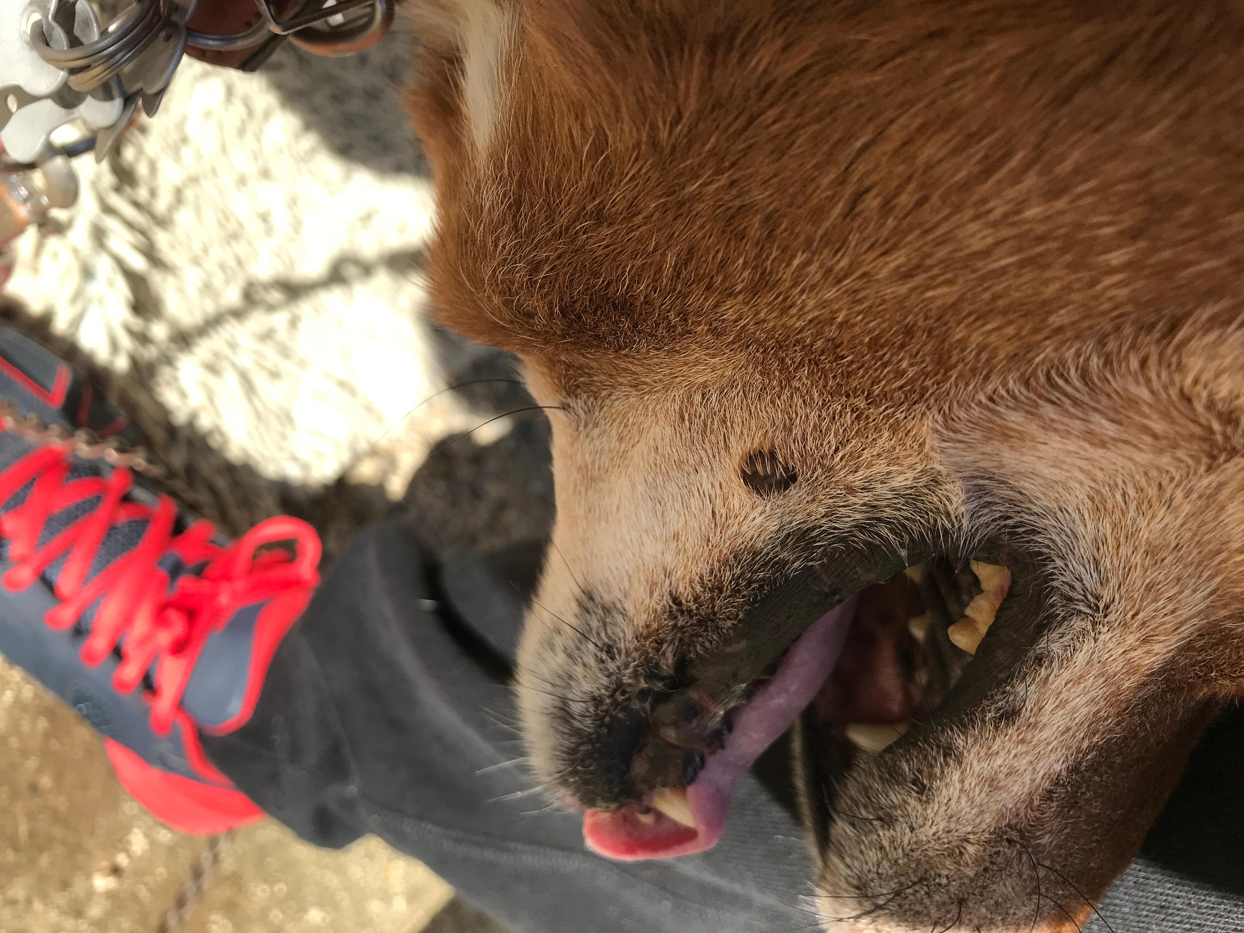 Question details sensitive content