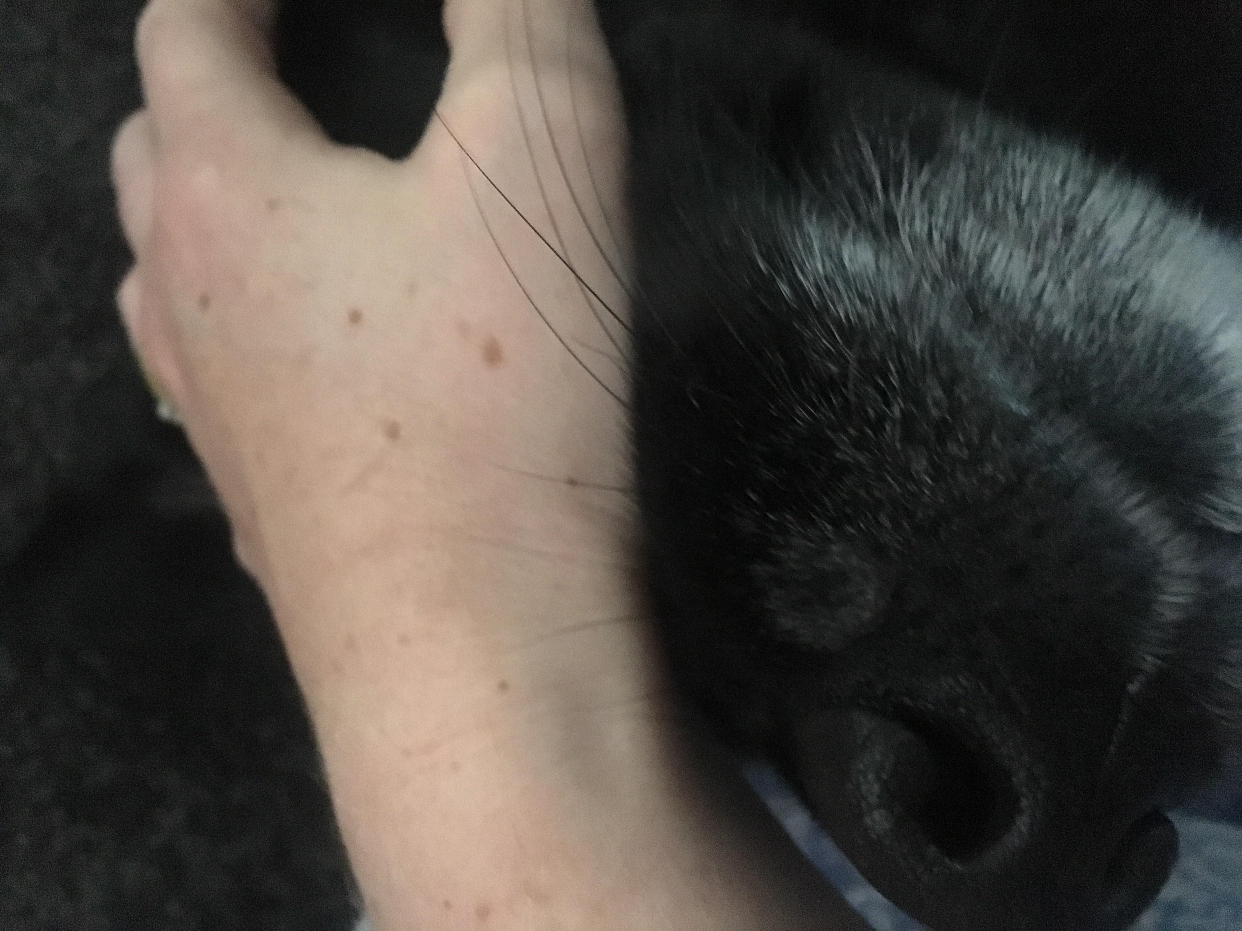 Question details sensitive content