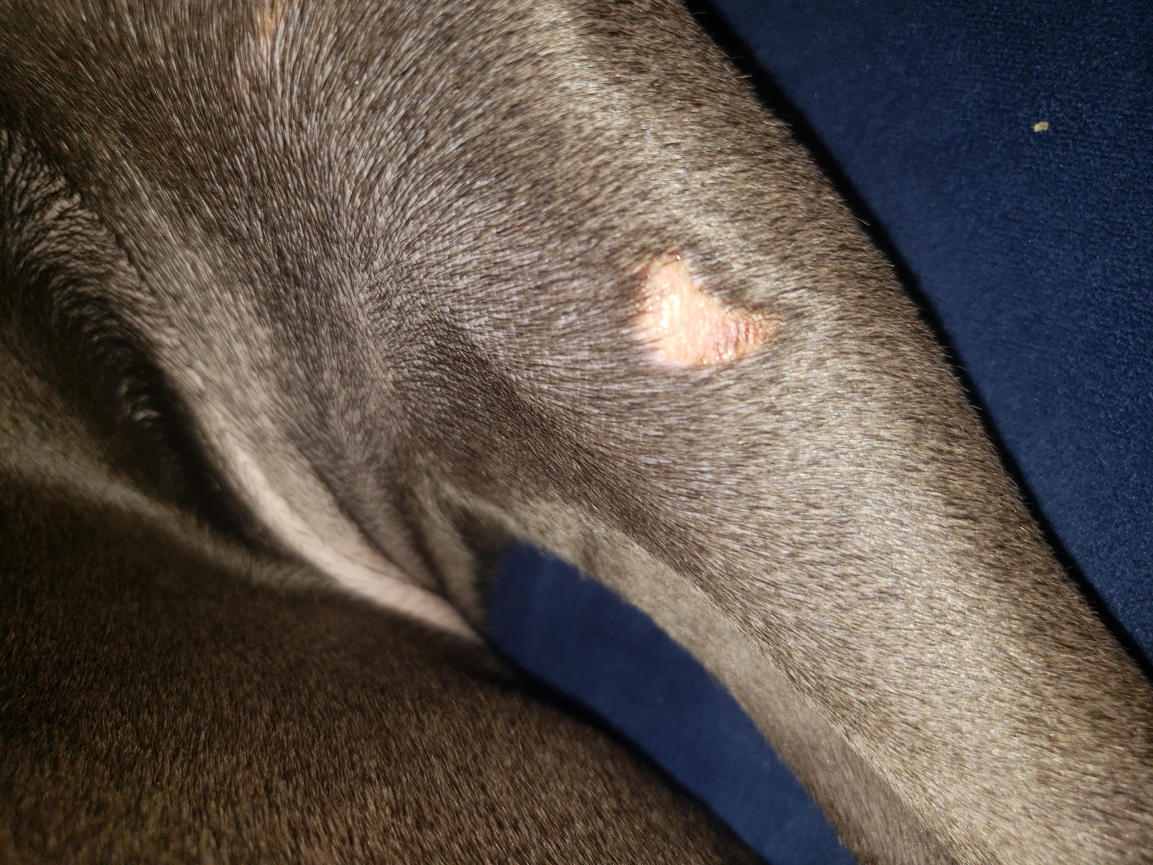 Question details sensitive content