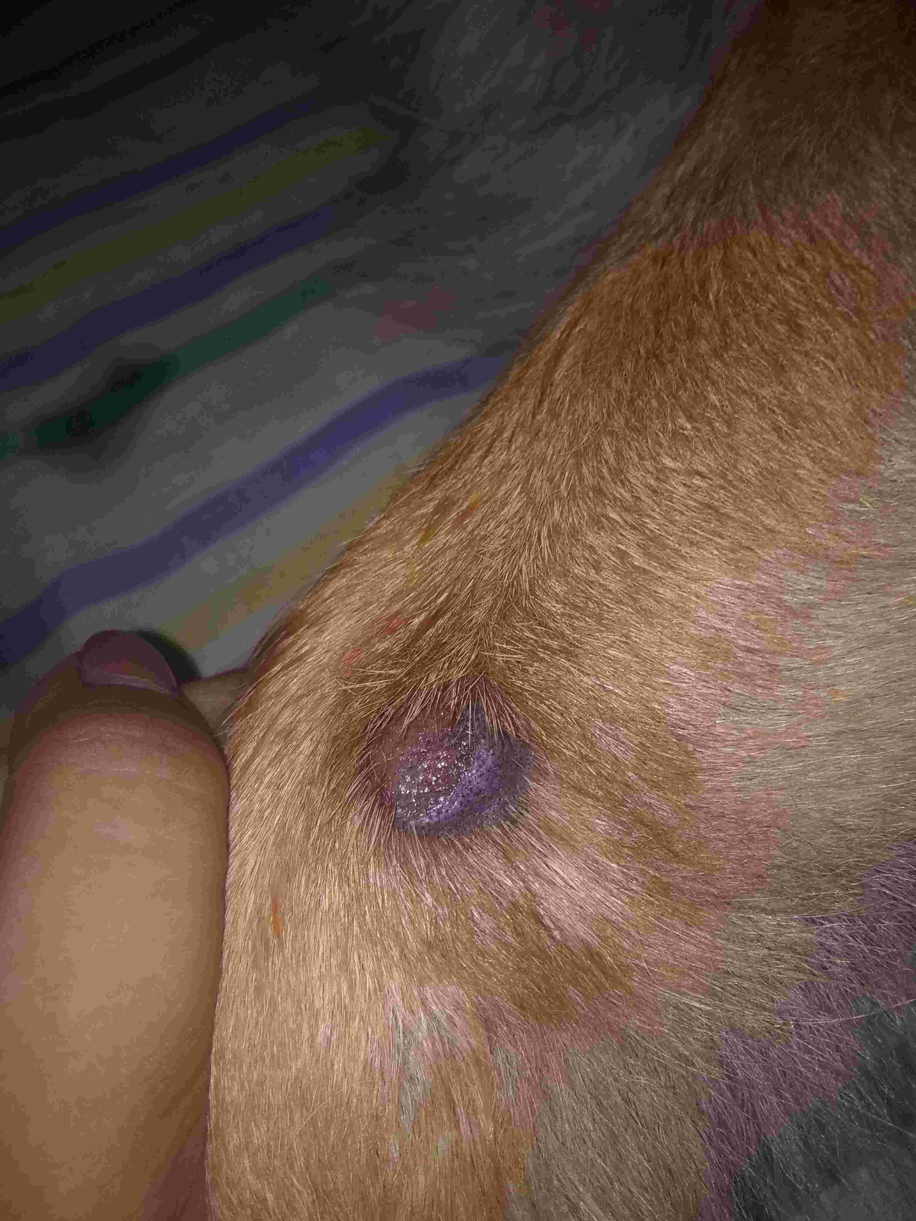 Question details sensitive content