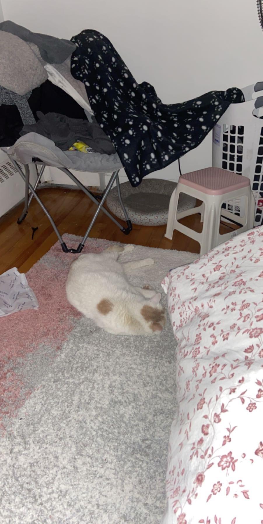 Question details sensitive content