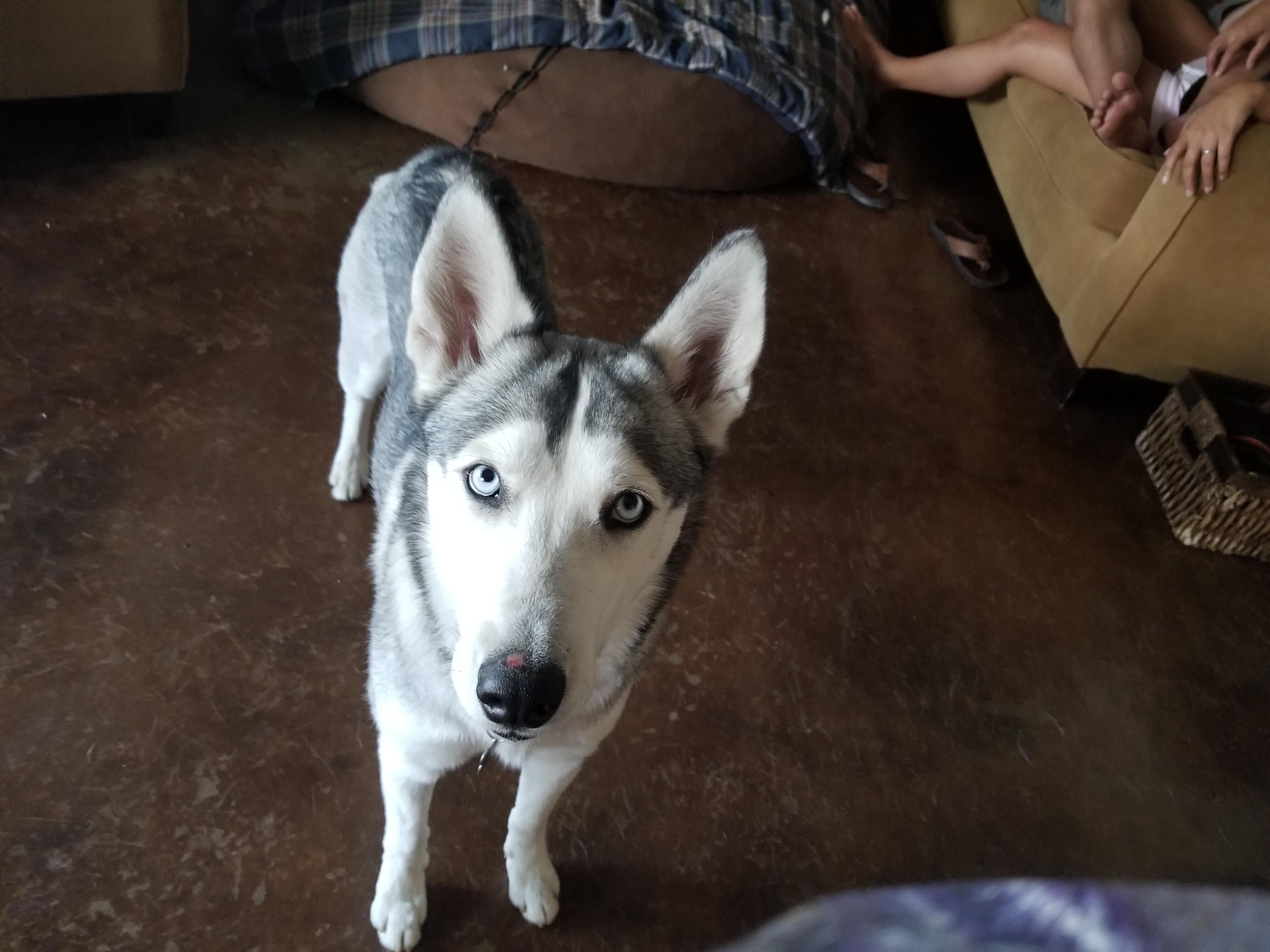 Question details sensitive content